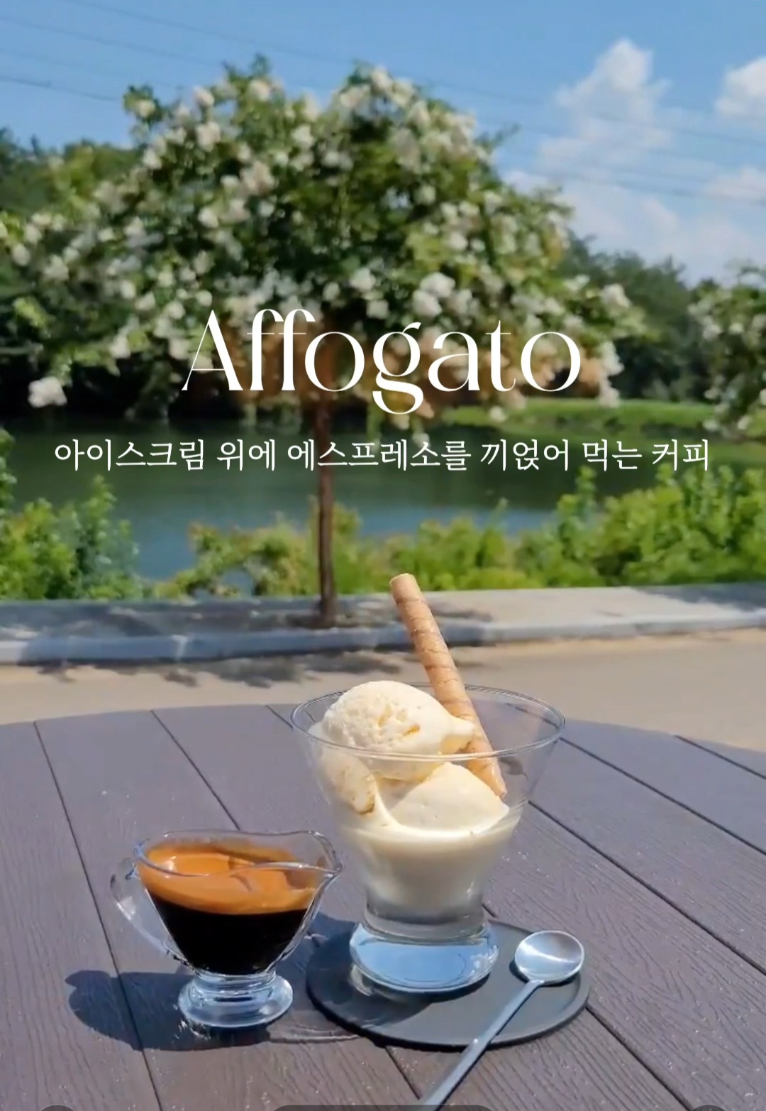 카페바오 대표 이미지