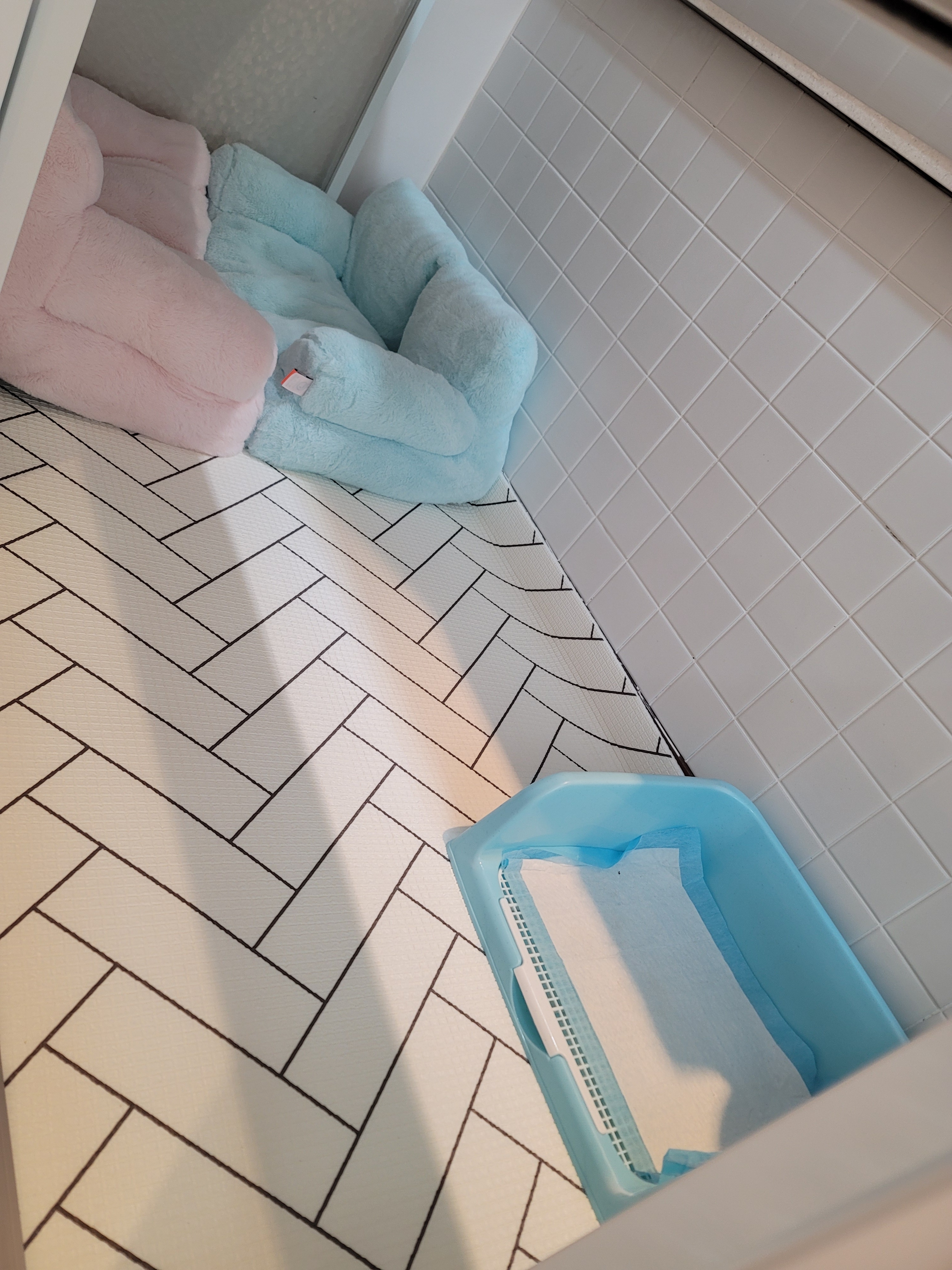 디디카페 대표 이미지