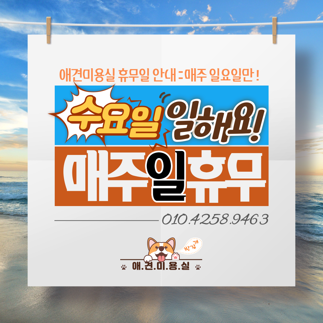 애견미용실 대표 이미지