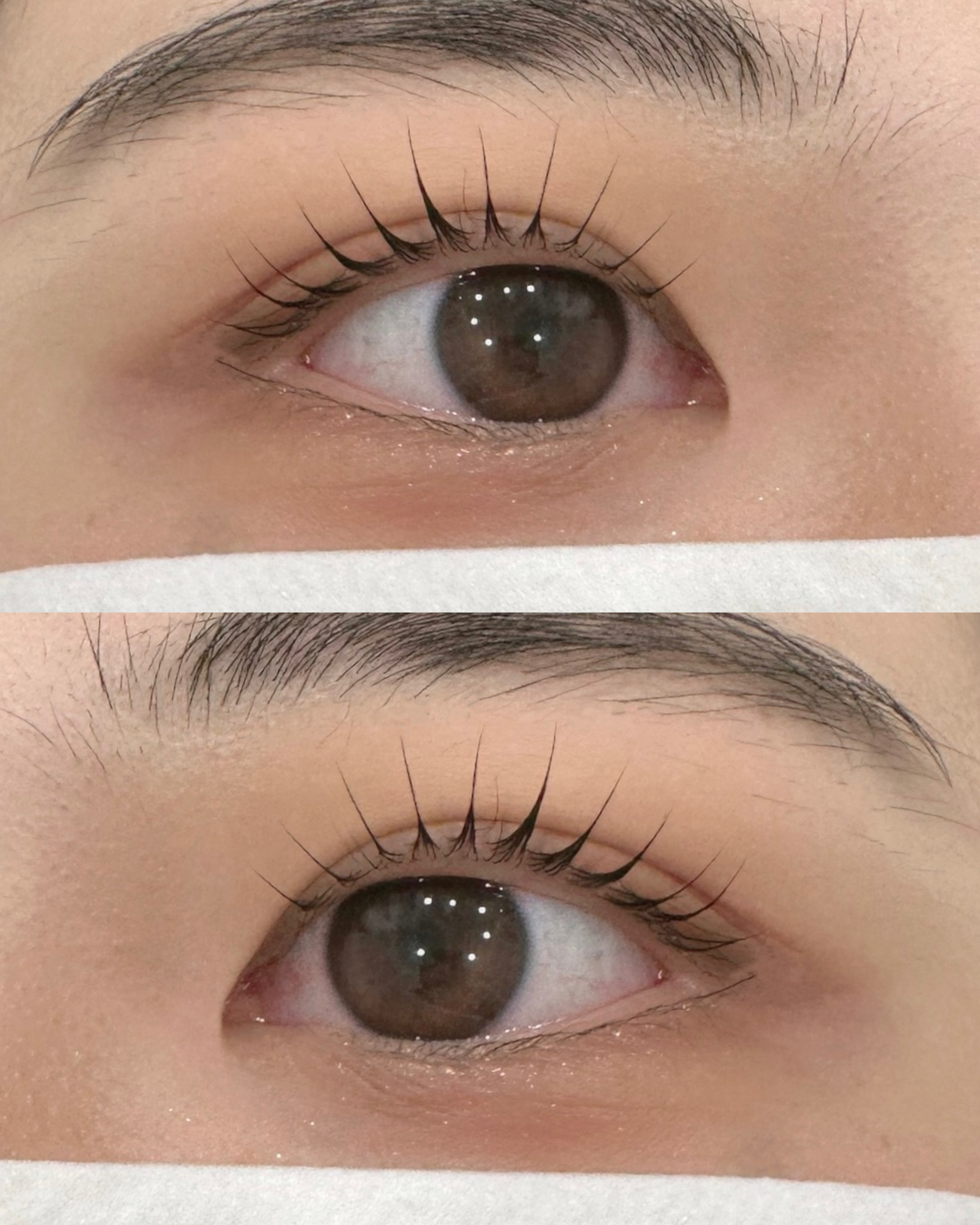 꼼꼼한영이씨뷰티