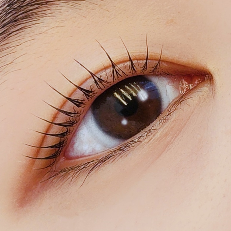 루루앤아이래쉬 건대점 대표 이미지