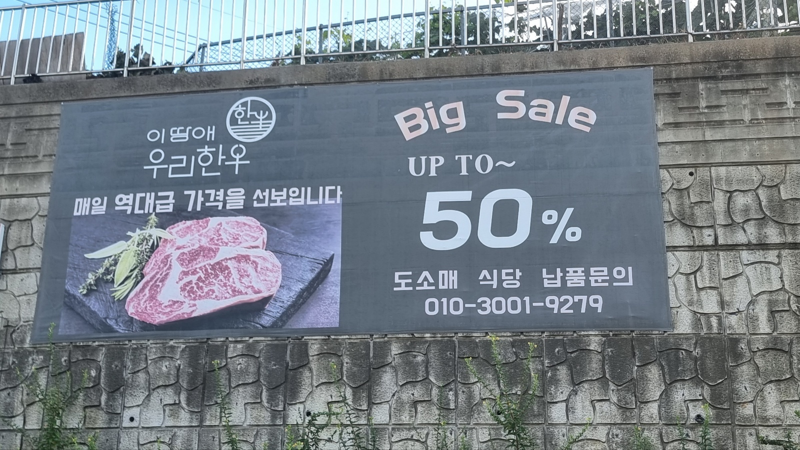 이땅애 우리한우