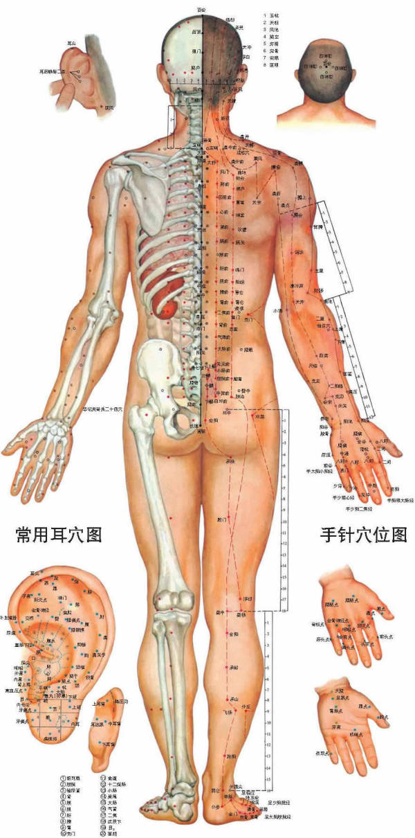 수기체형관리 대표 이미지