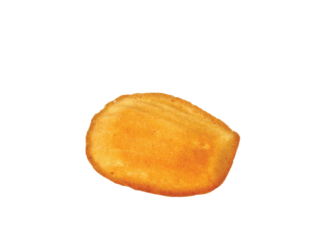 커스텀커피 의왕백운호수점