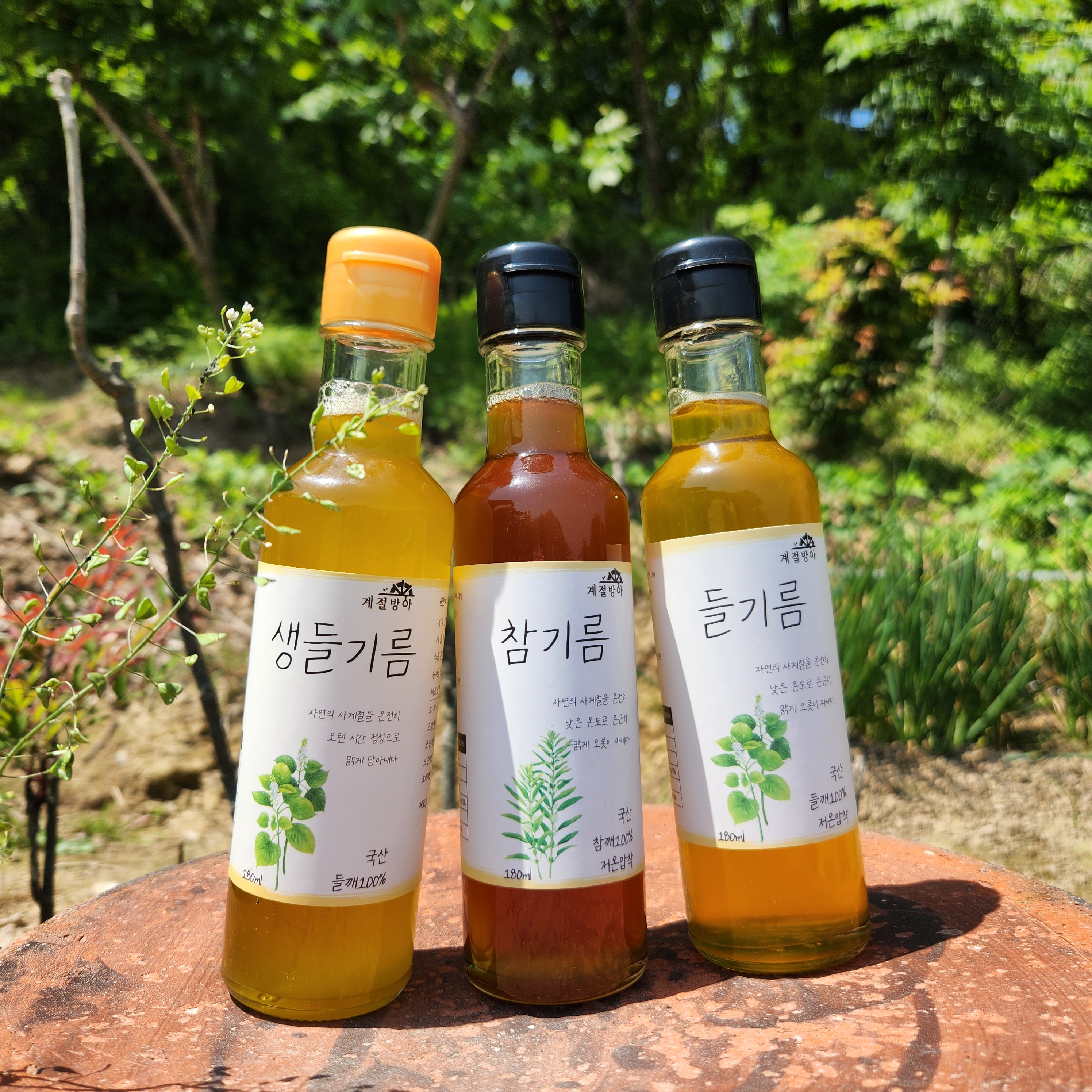 온누리식품