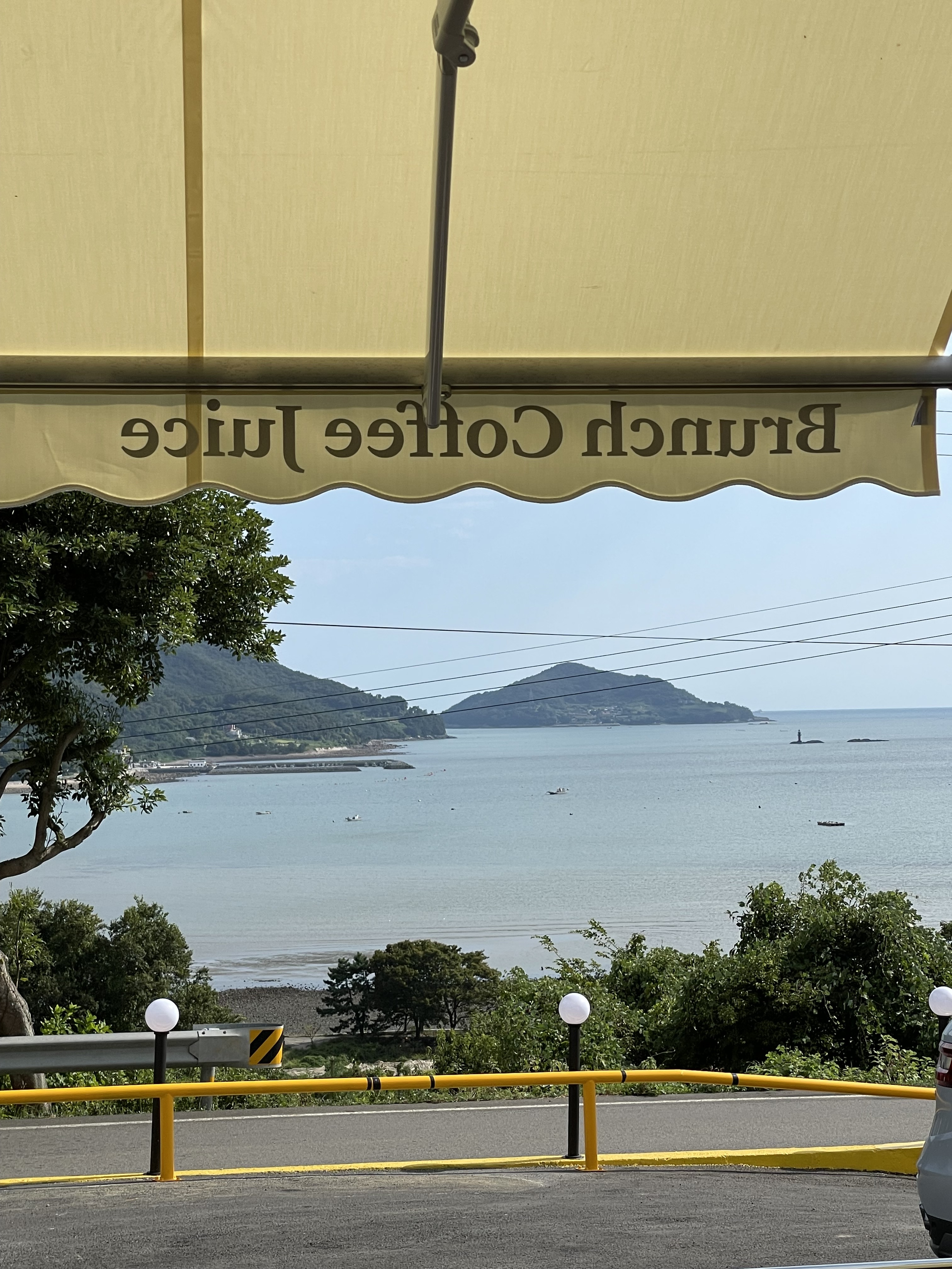 레브드 남해