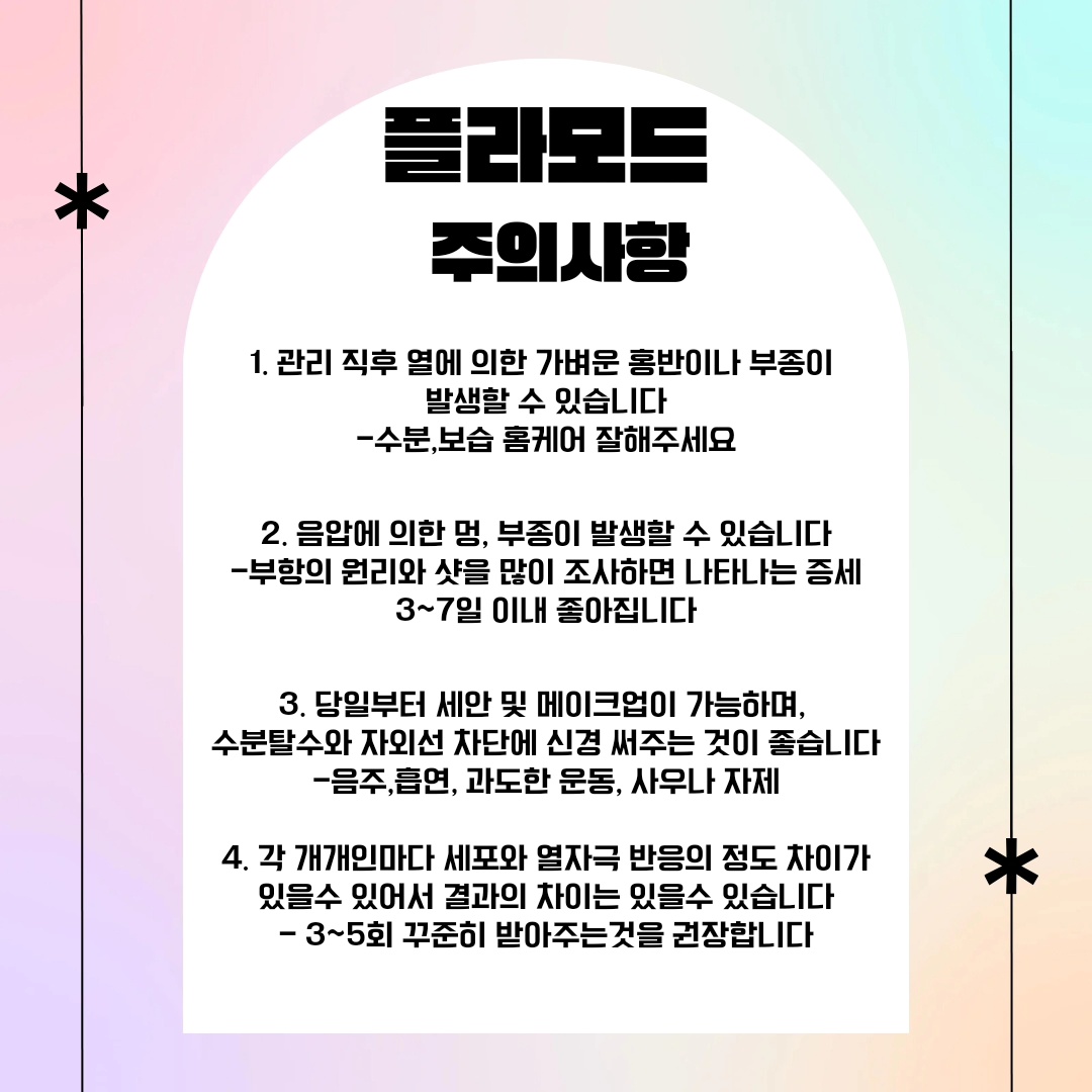 살롱드비숑 울산중구점