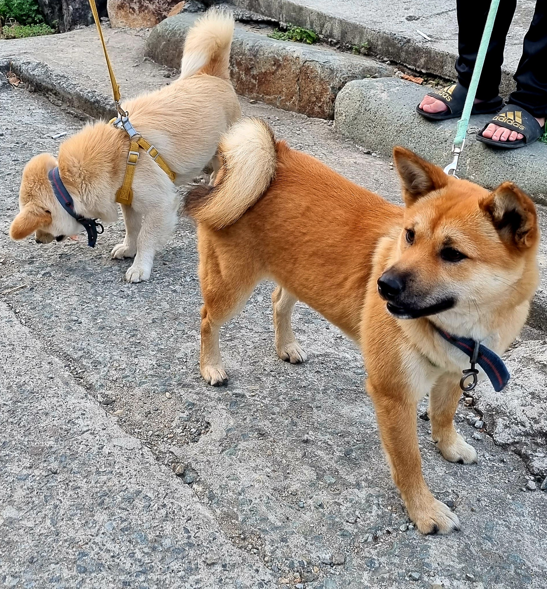 우리농장