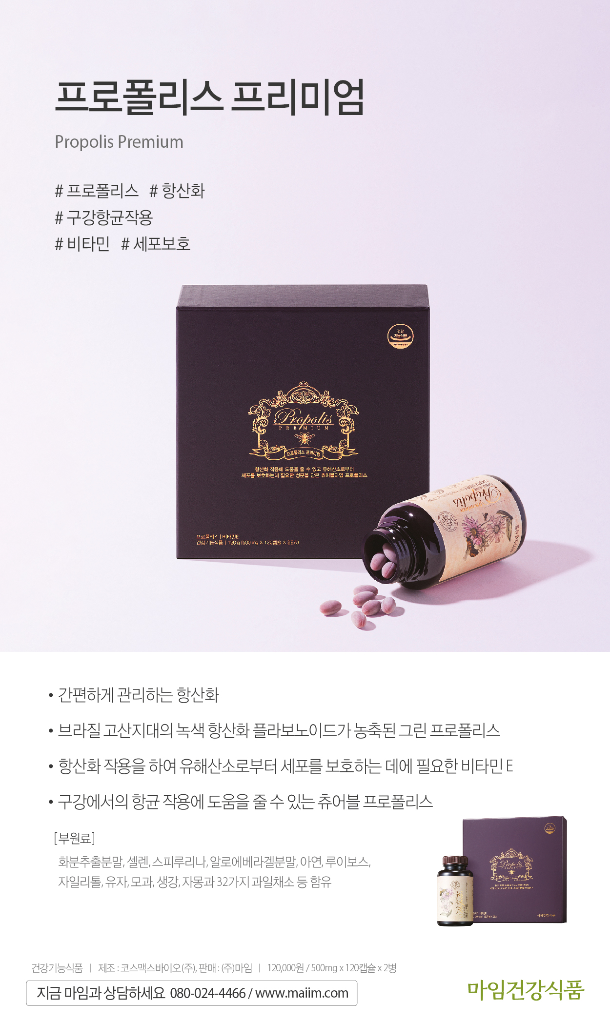 마임 도안지사