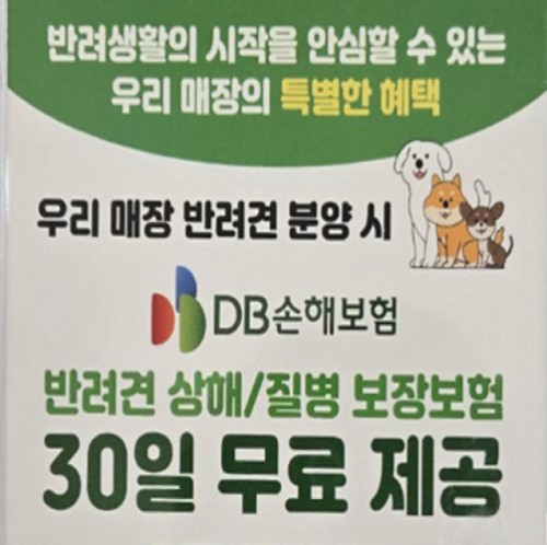 유미펫 강아지분양 고양이분양 남양주본점