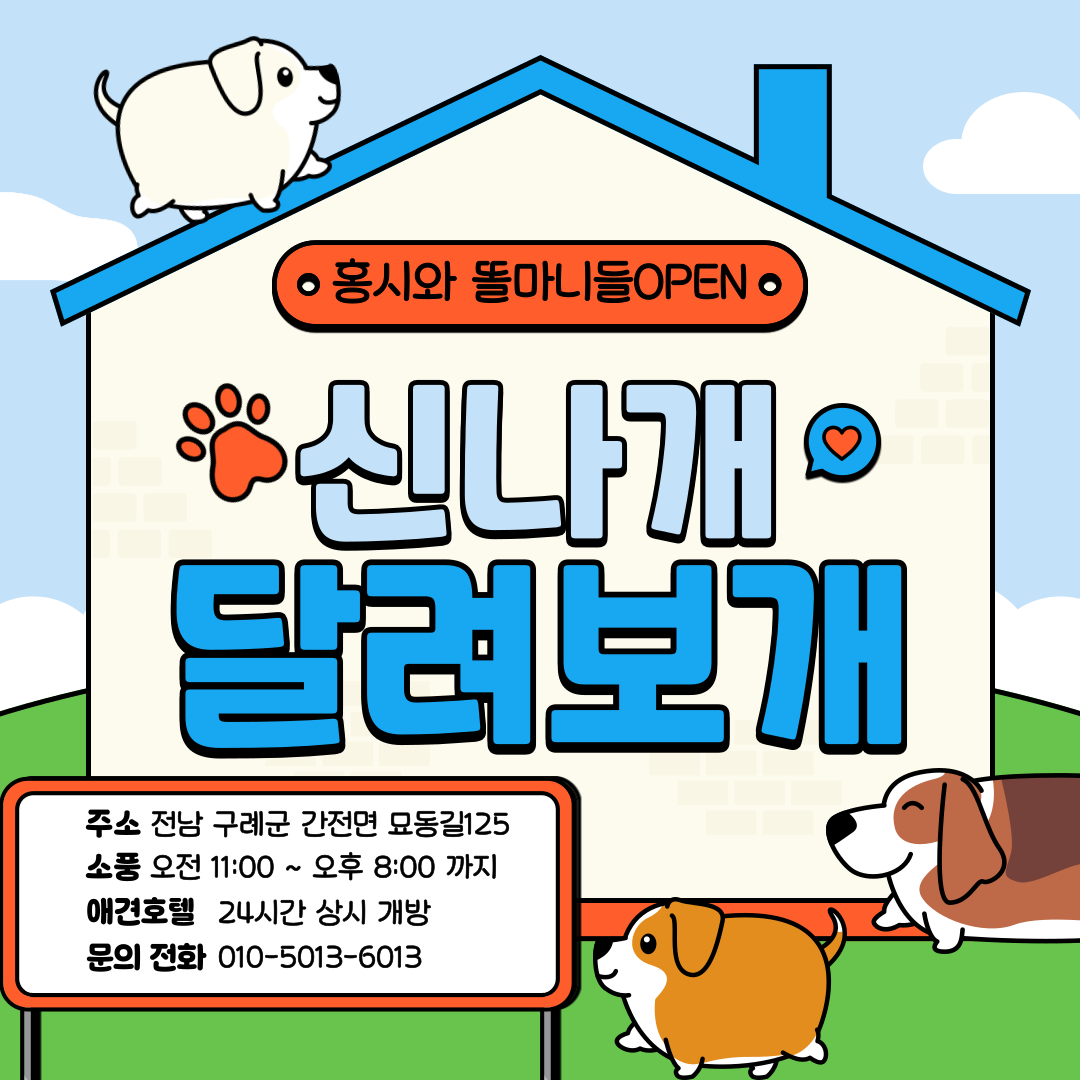 홍시와똘마니들 전라 애견숙소