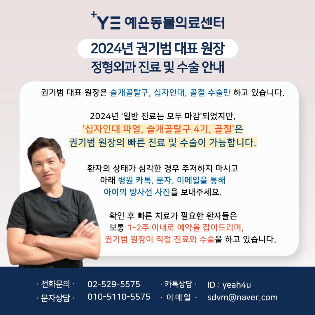 예은동물의료센터 대표 이미지