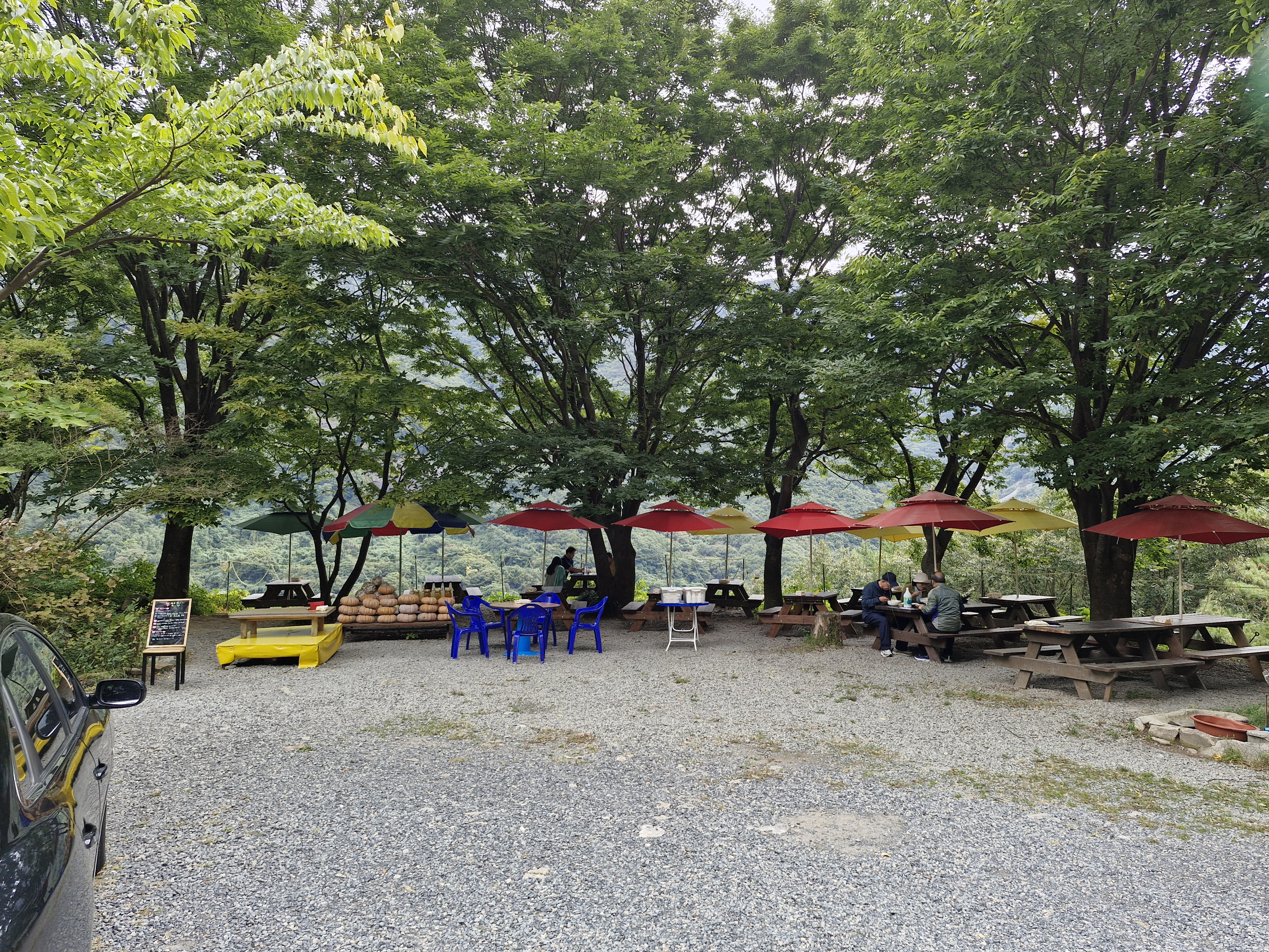 부산집 대표 이미지