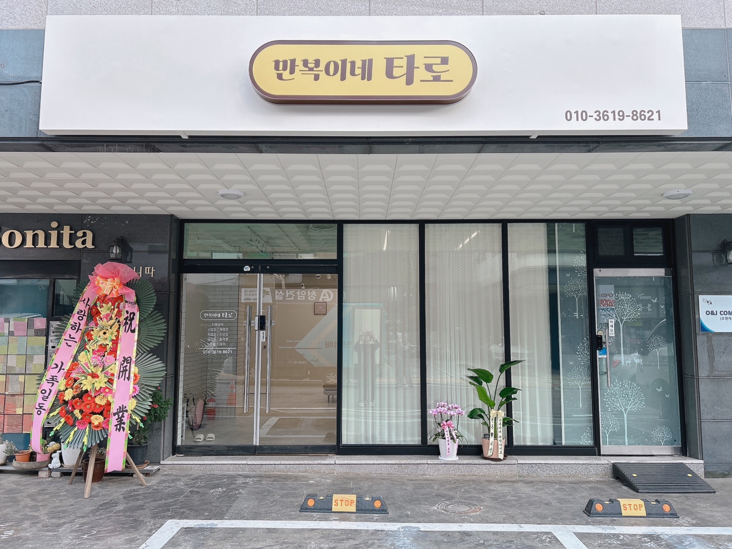 만복이네 타로