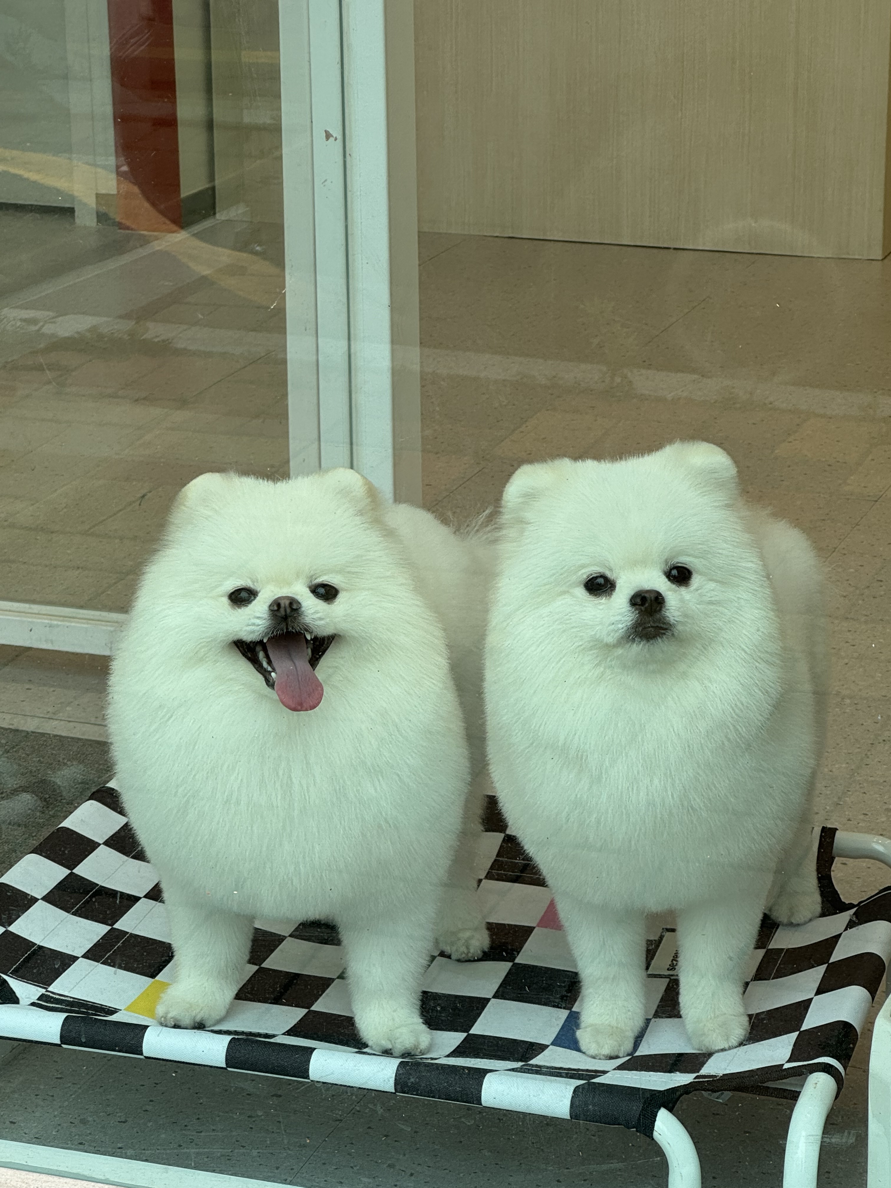 댕그루멍 대표 이미지