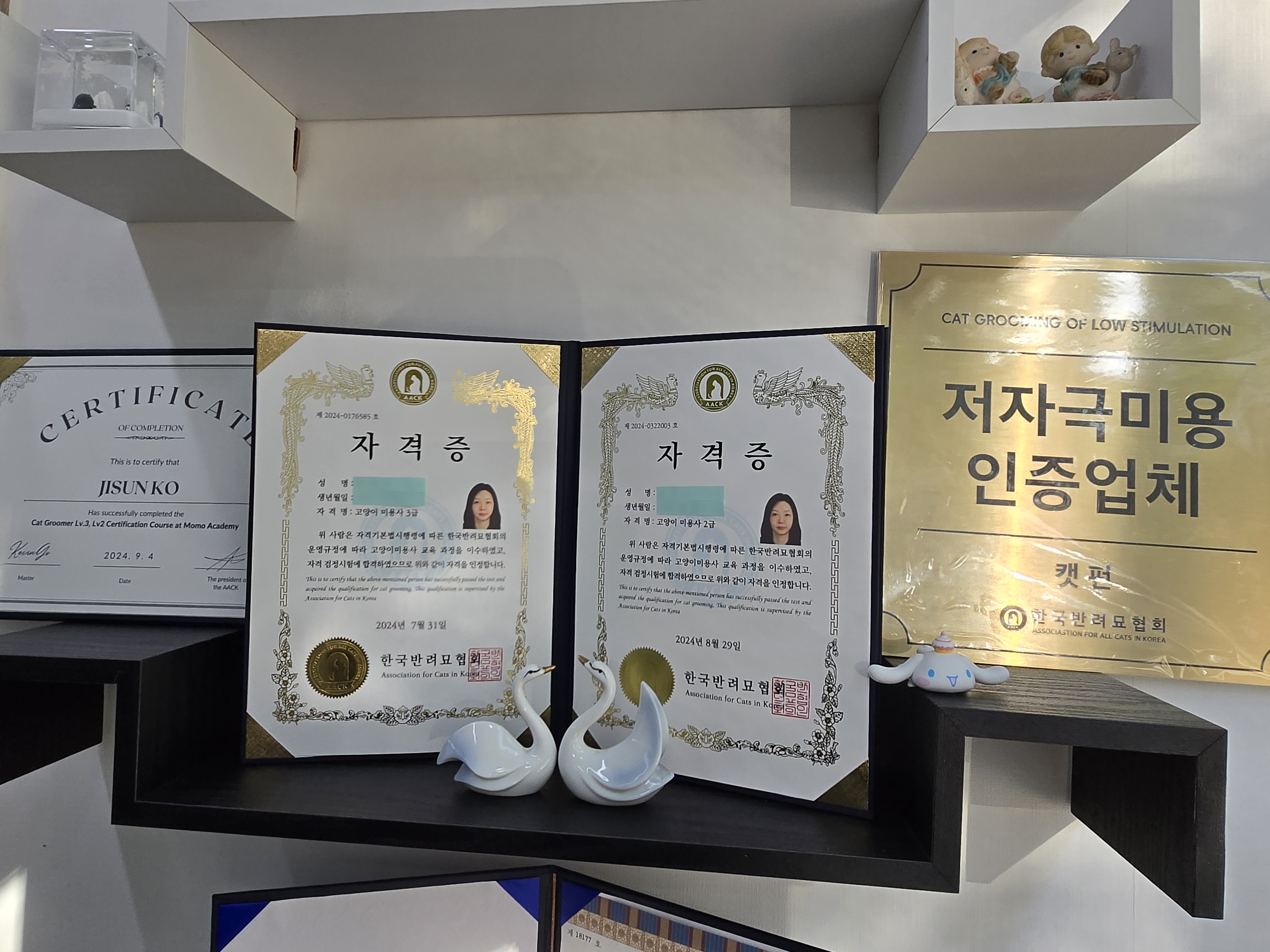 캣펀 대표 이미지