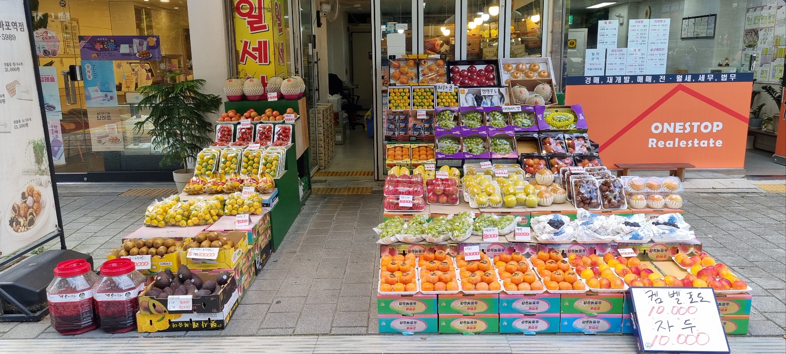 과일세상