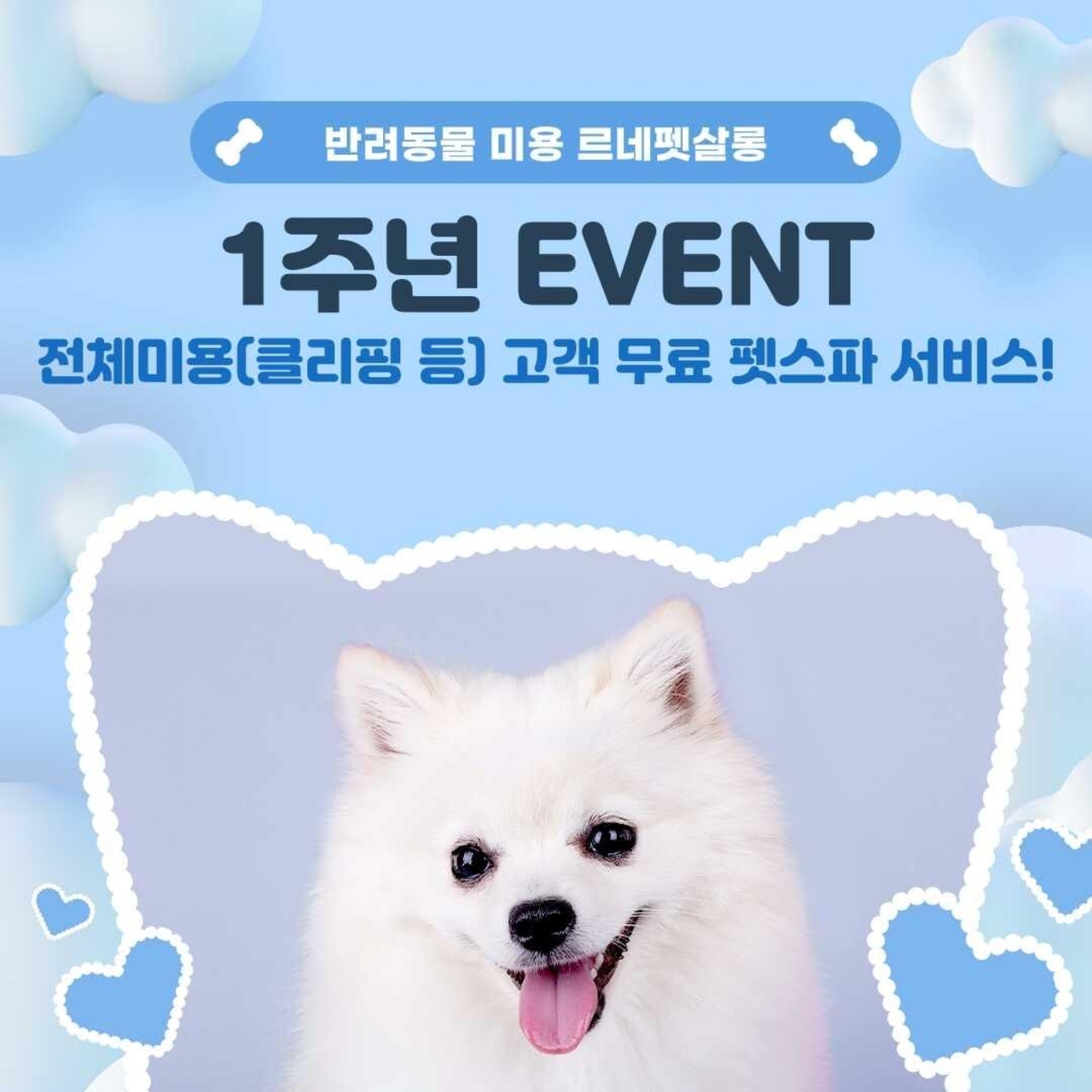 르네펫살롱