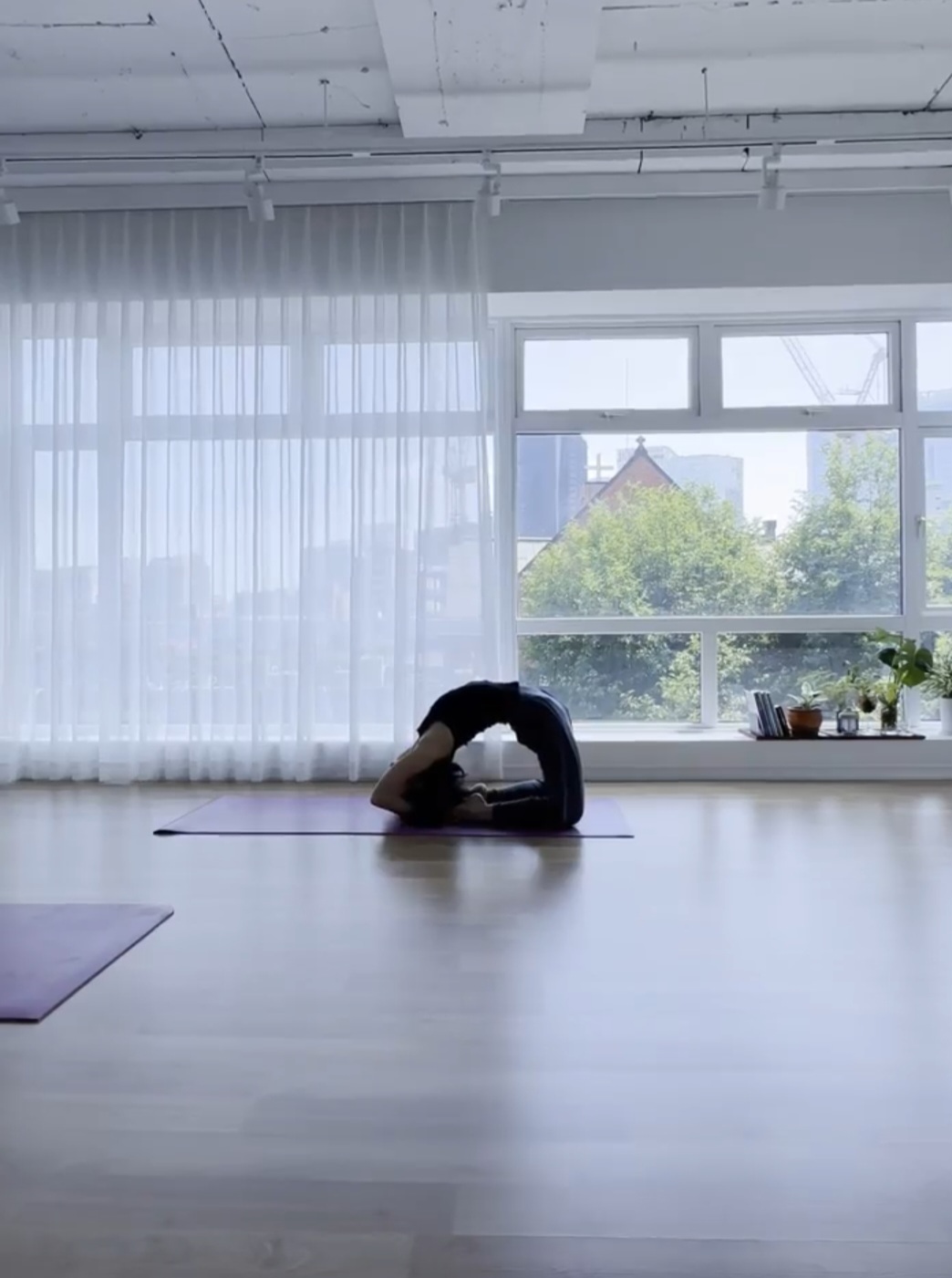 다오다요가와 명상&자기계발 대표 이미지