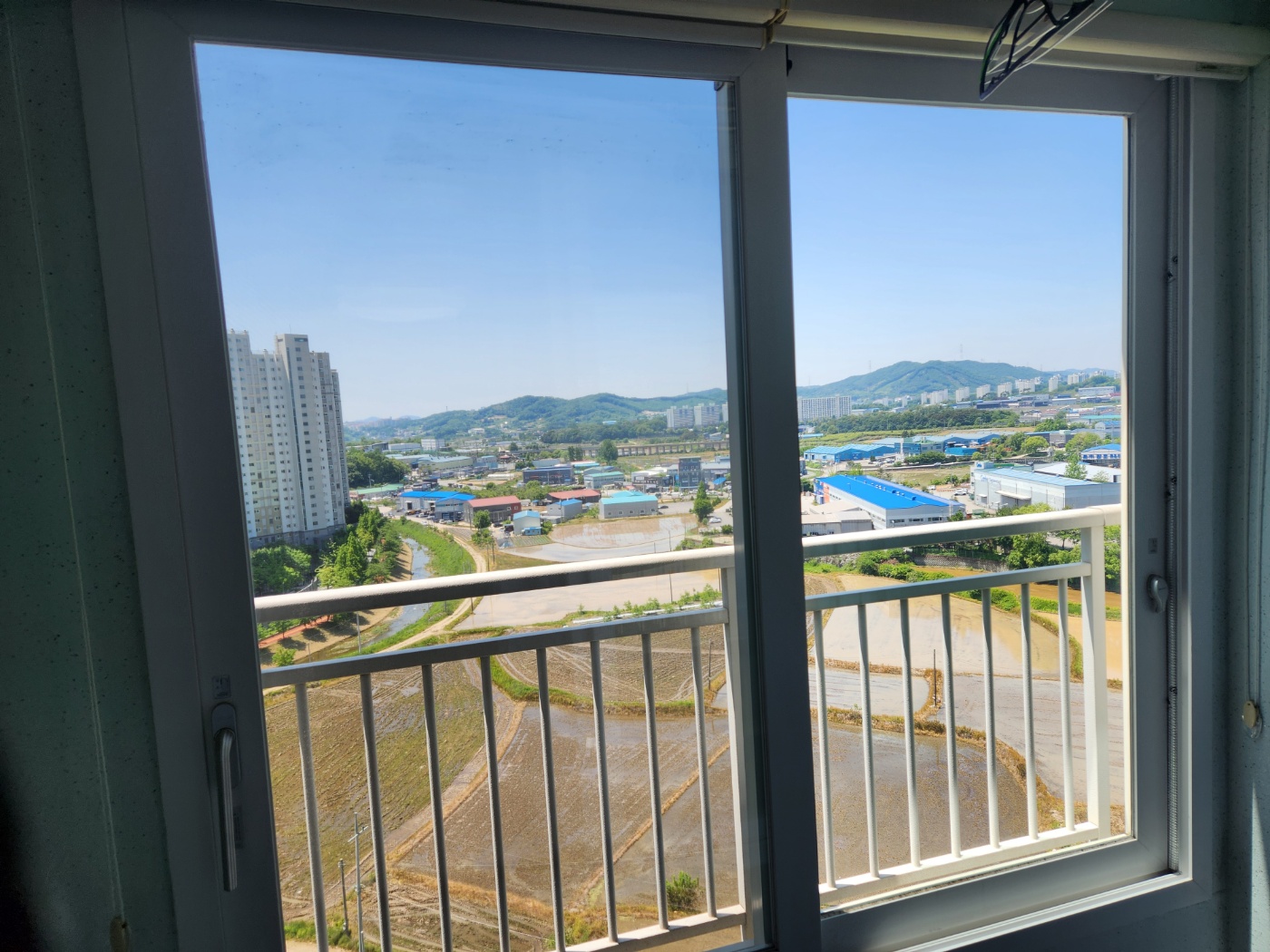 꼼꼼한 남자
