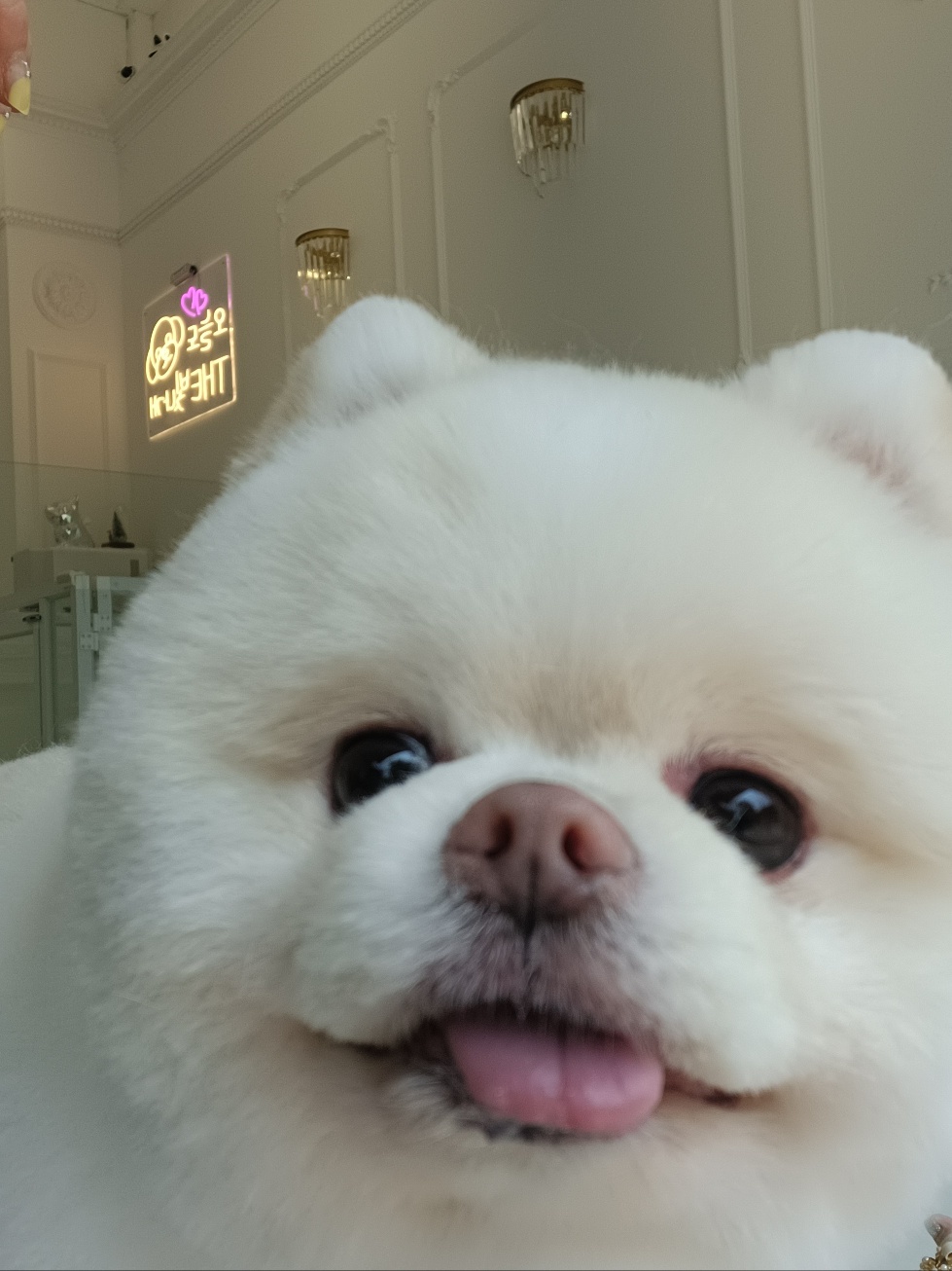 THE빛나개 대표 이미지