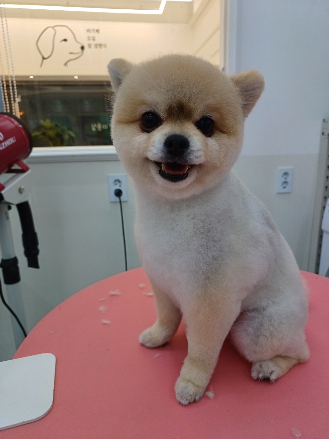 THE빛나개 대표 이미지