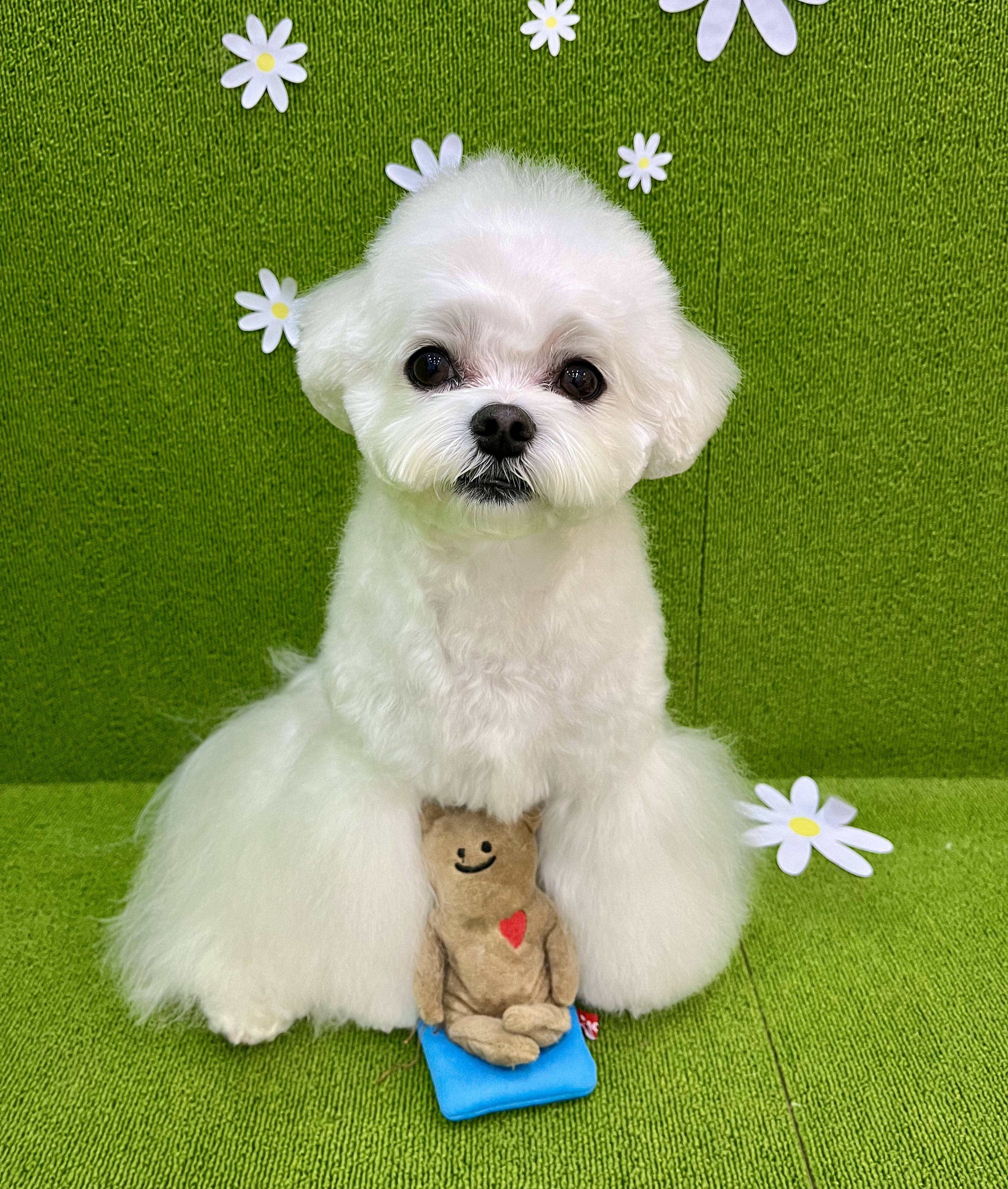 뽀도독