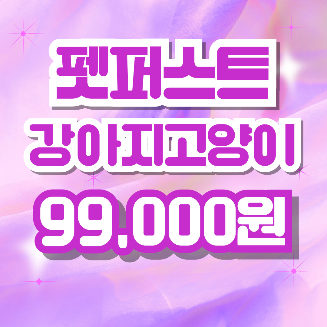 펫퍼스트 24시 강아지분양 고양이분양 인천본점