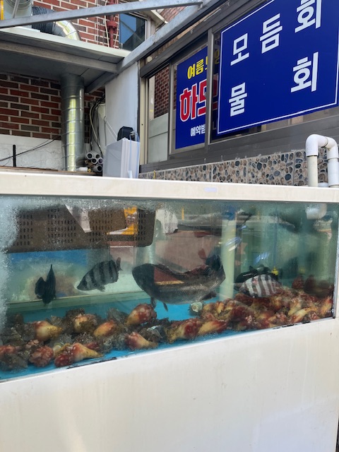 새통영횟집