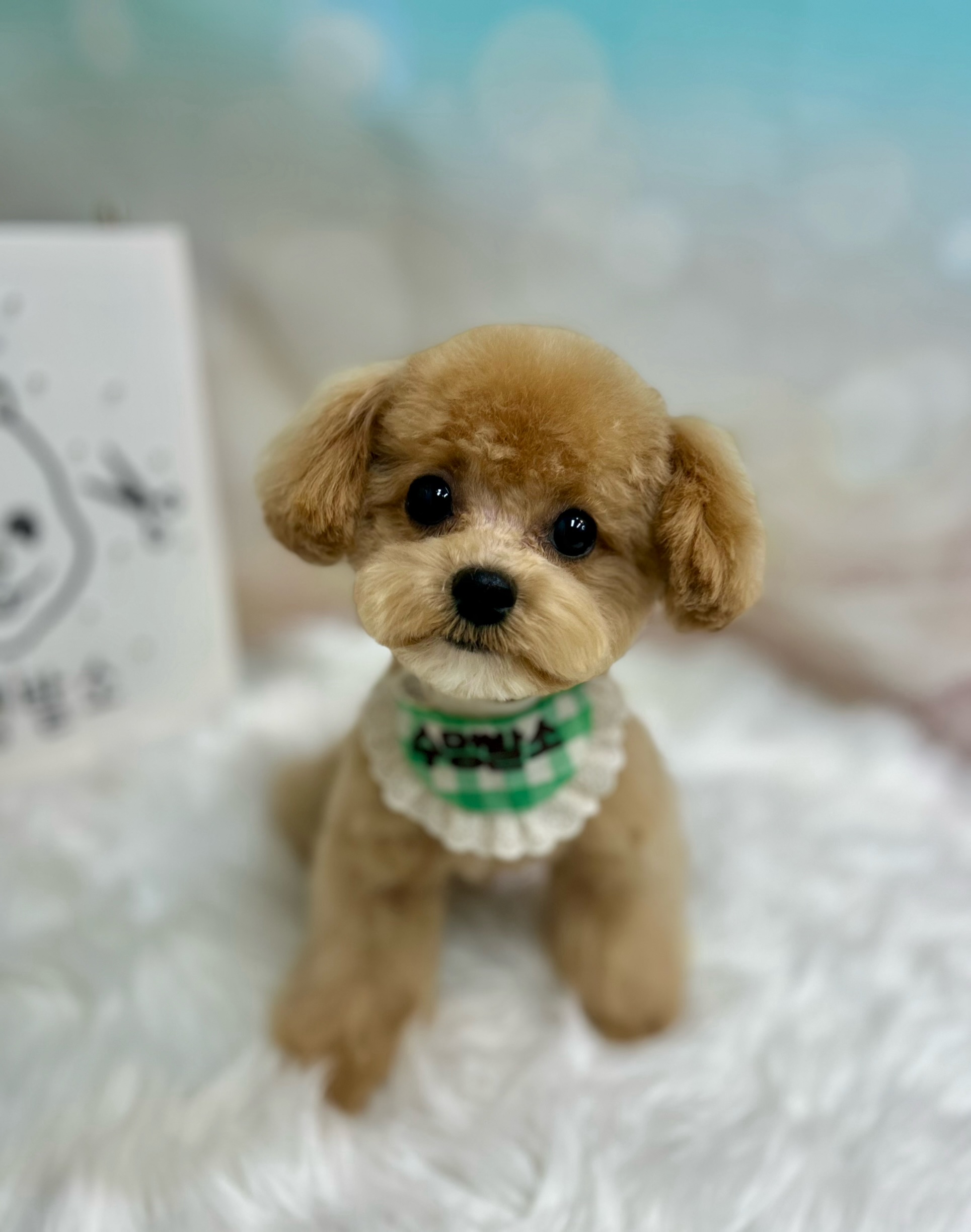 수멍발소 대표 이미지