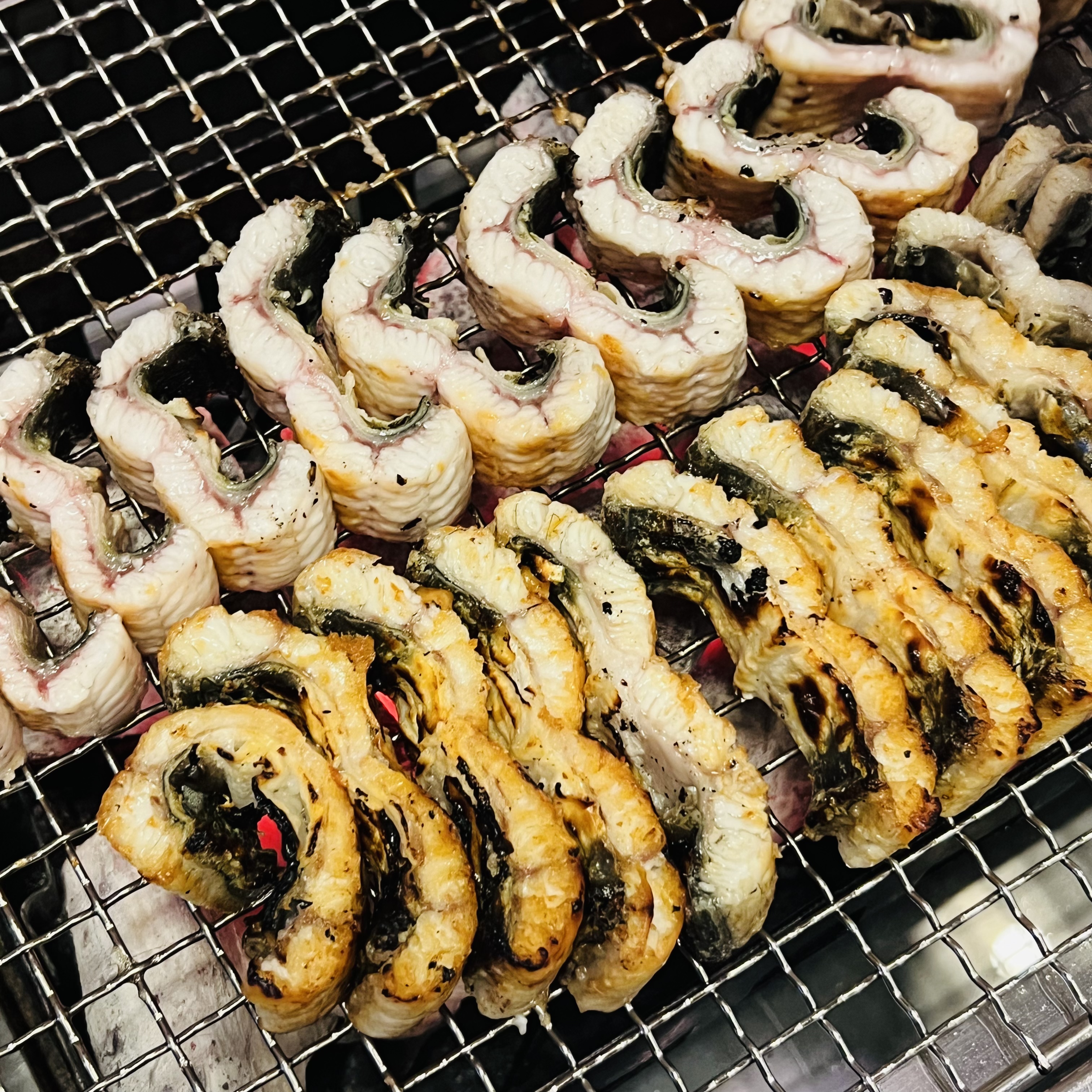 강화도민물장어