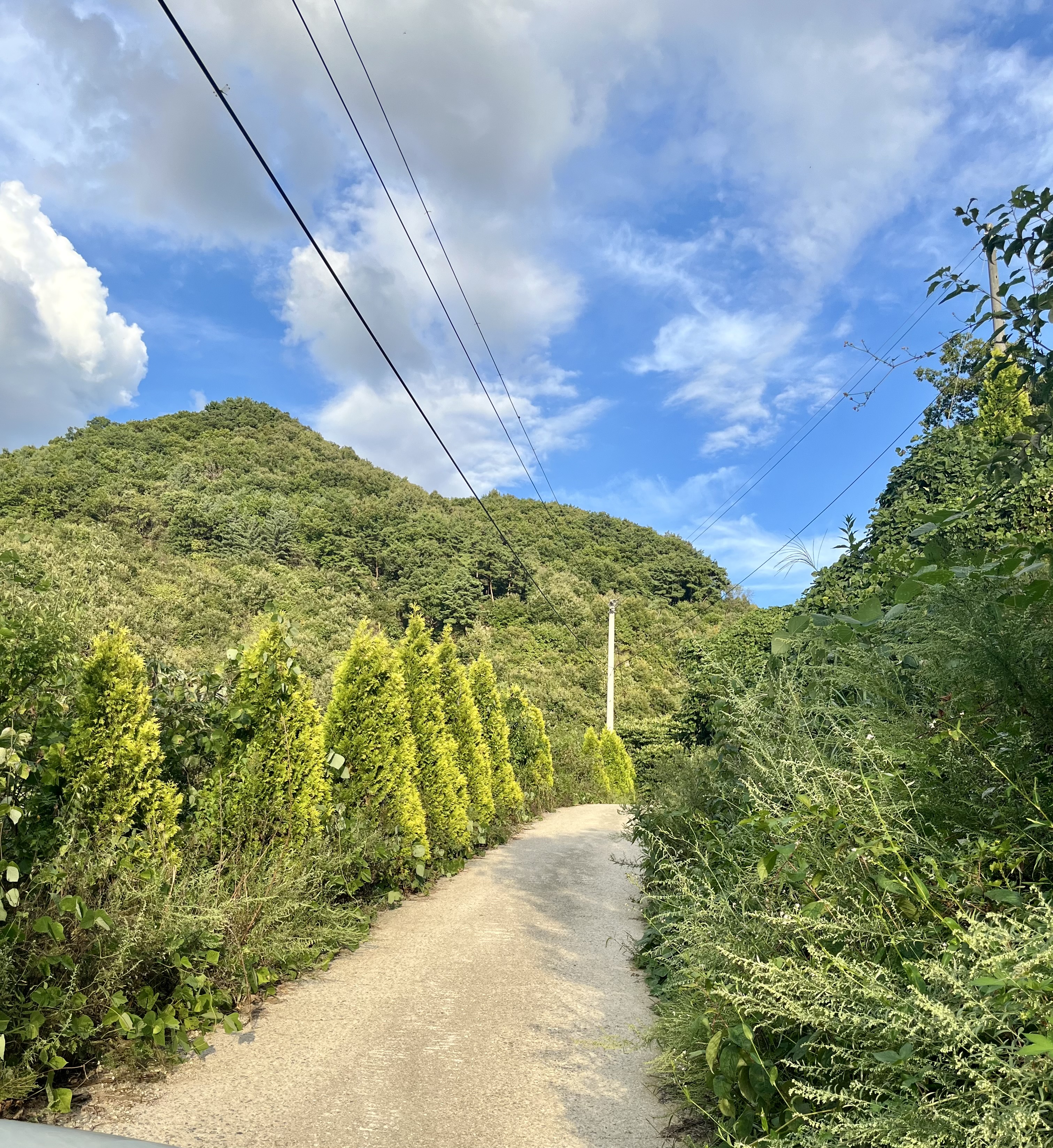 청산별