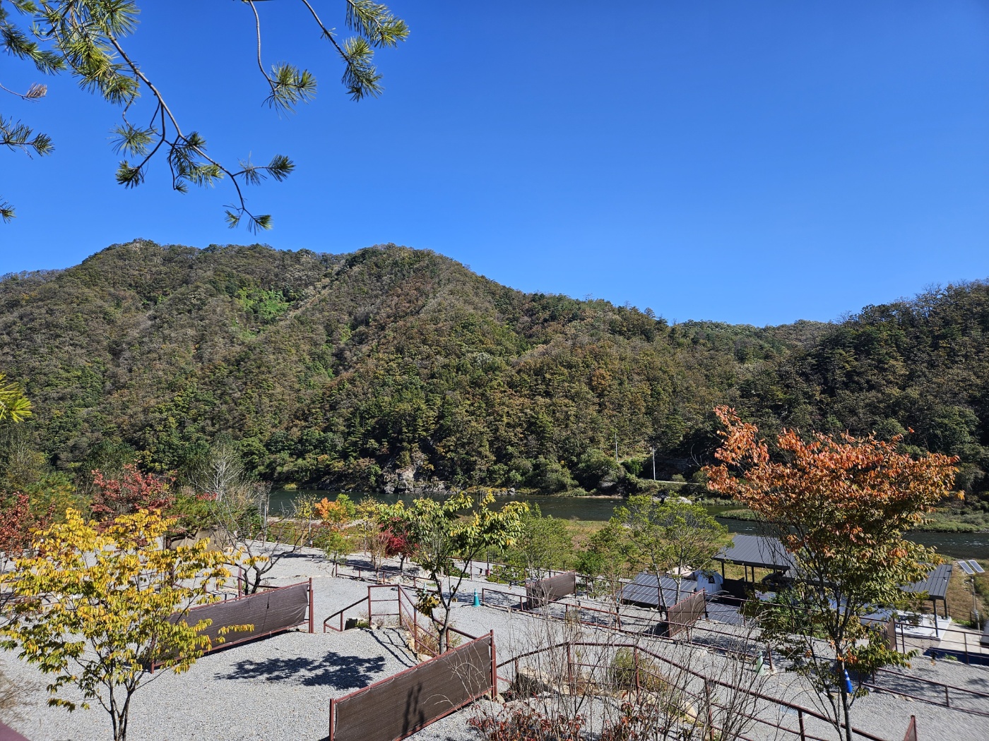 도담캠핑장