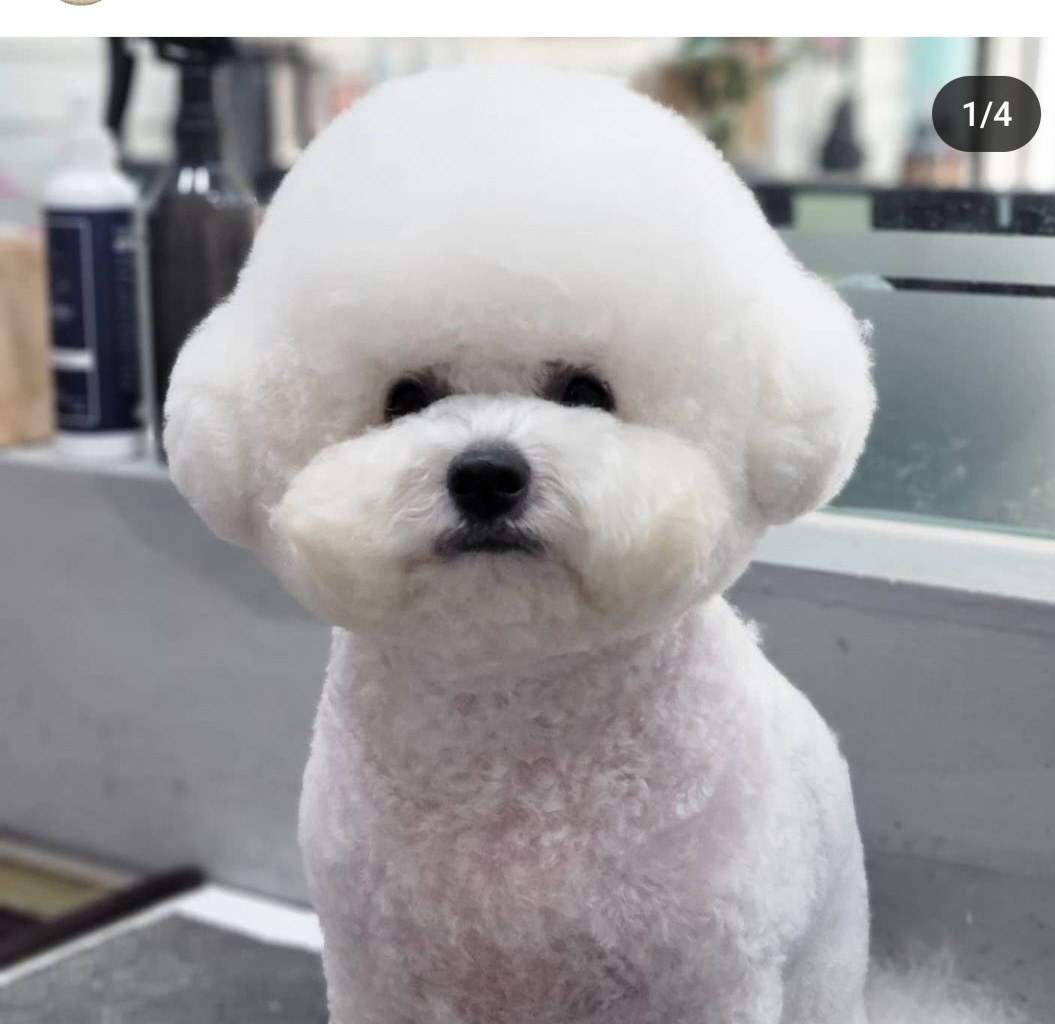 너애개만 대표 이미지