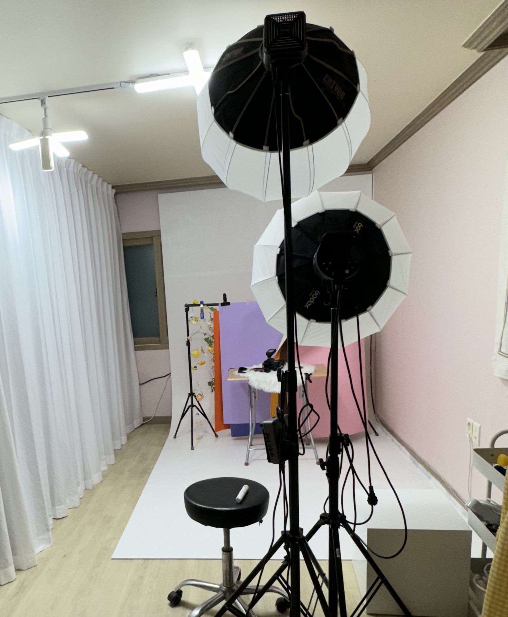 안녕댕댕쓰 대표 이미지