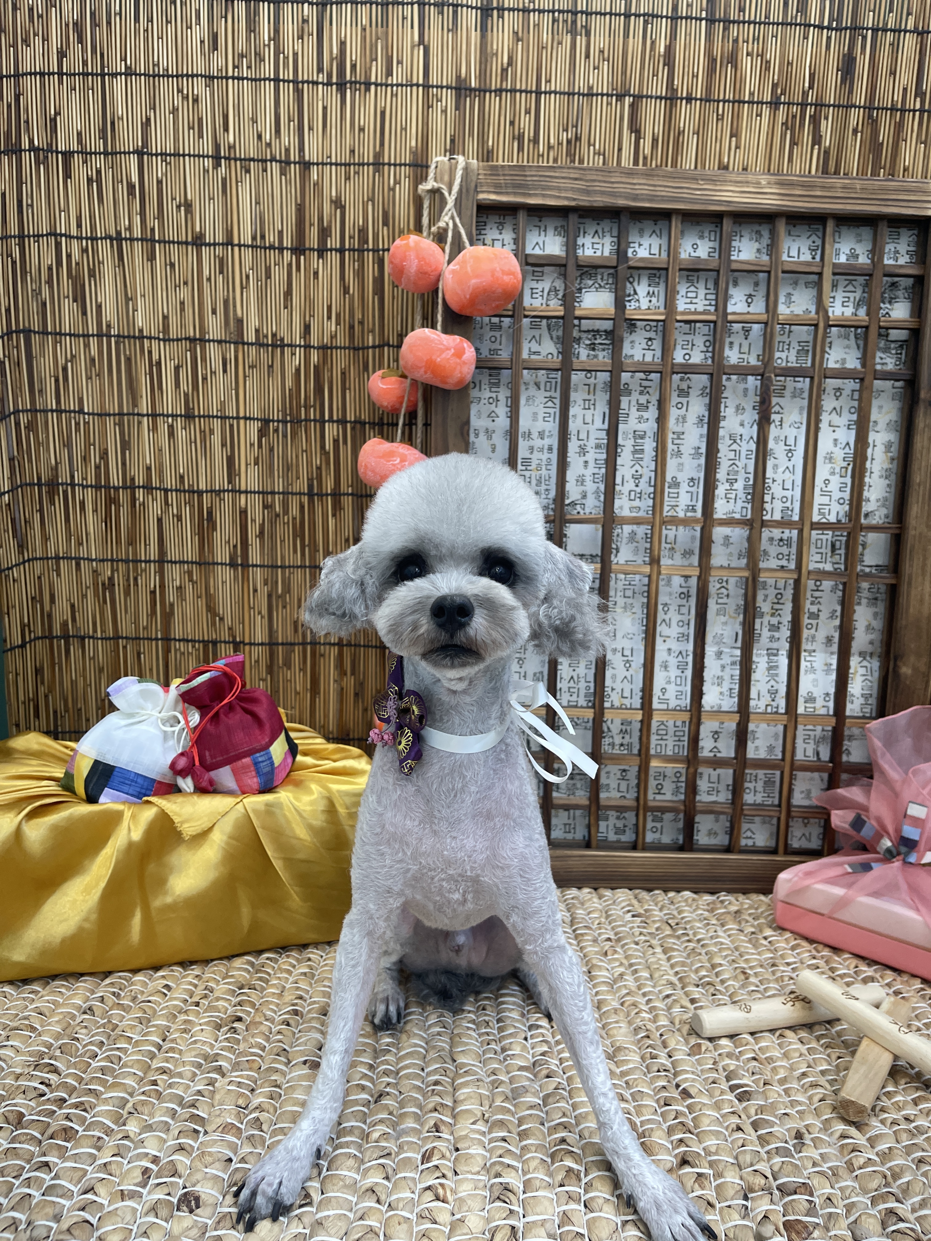 누구보다 소중하개 대표 이미지