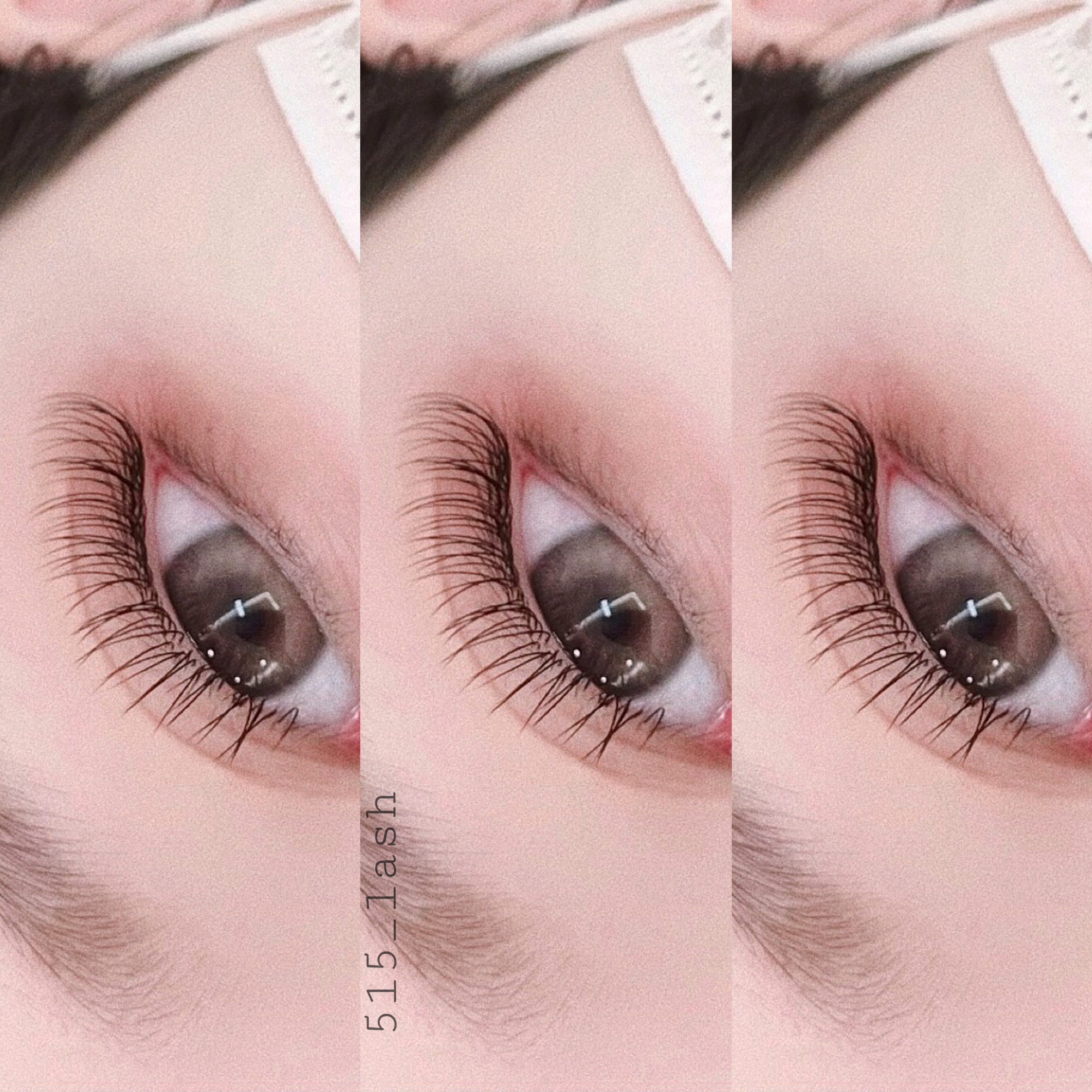 오일오래쉬