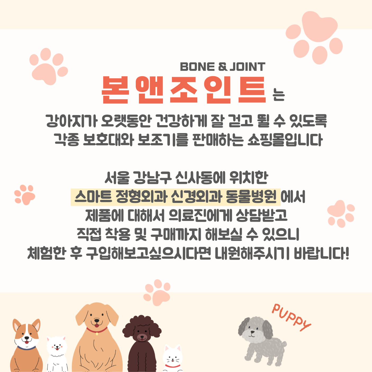 본앤조인트 대표 이미지