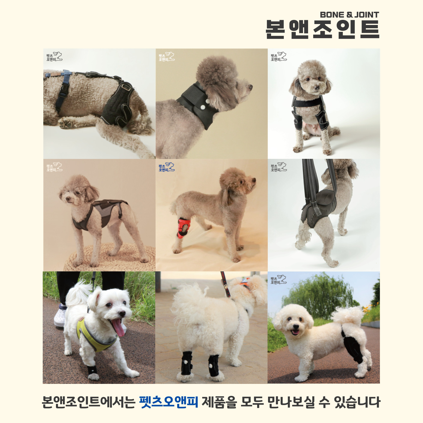 본앤조인트 대표 이미지