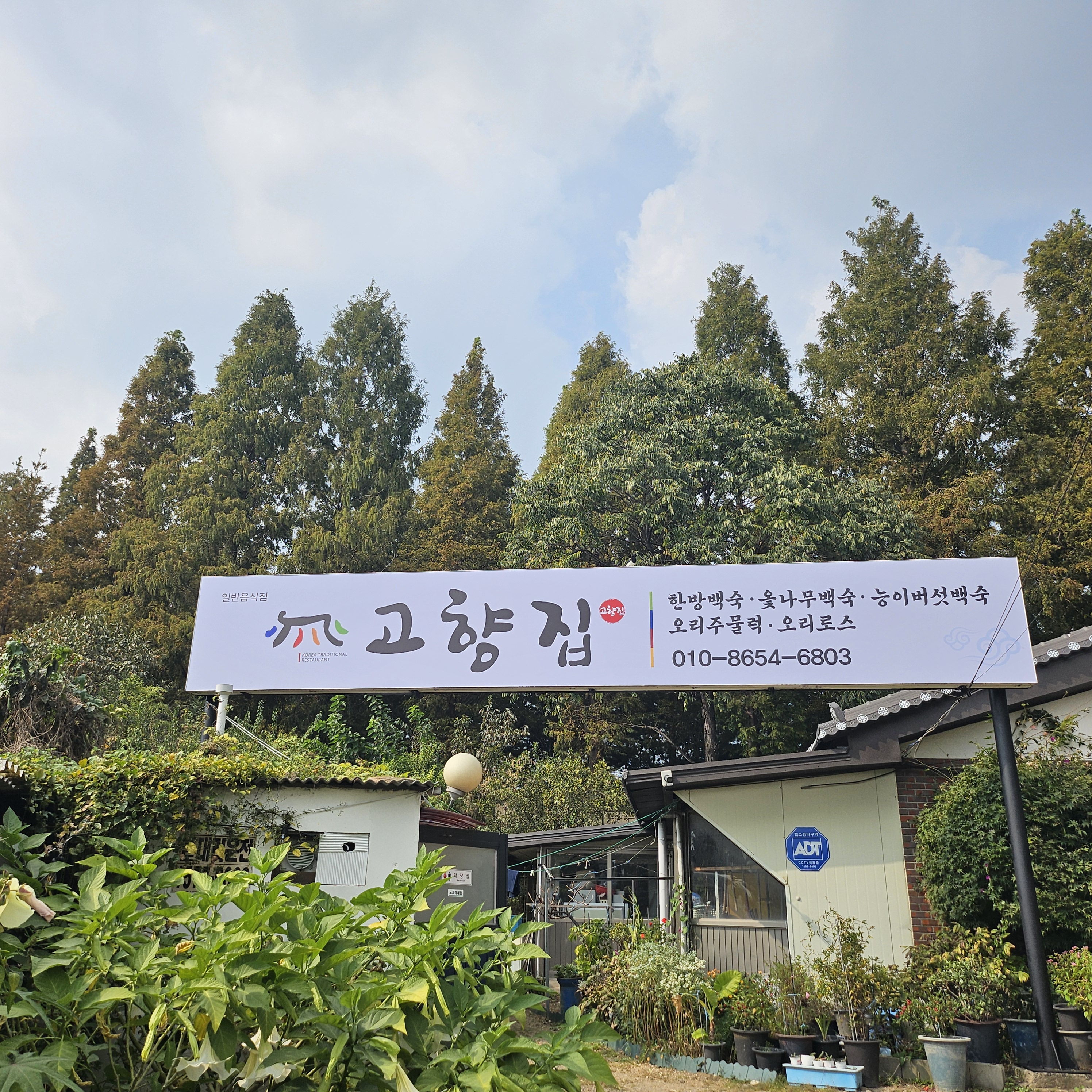 DA.dodo | 능이백숙잘하는 맛집 추천합니다 경기 부천시에서 우수업체 능이백숙전문점 방문해 보세요 고향집