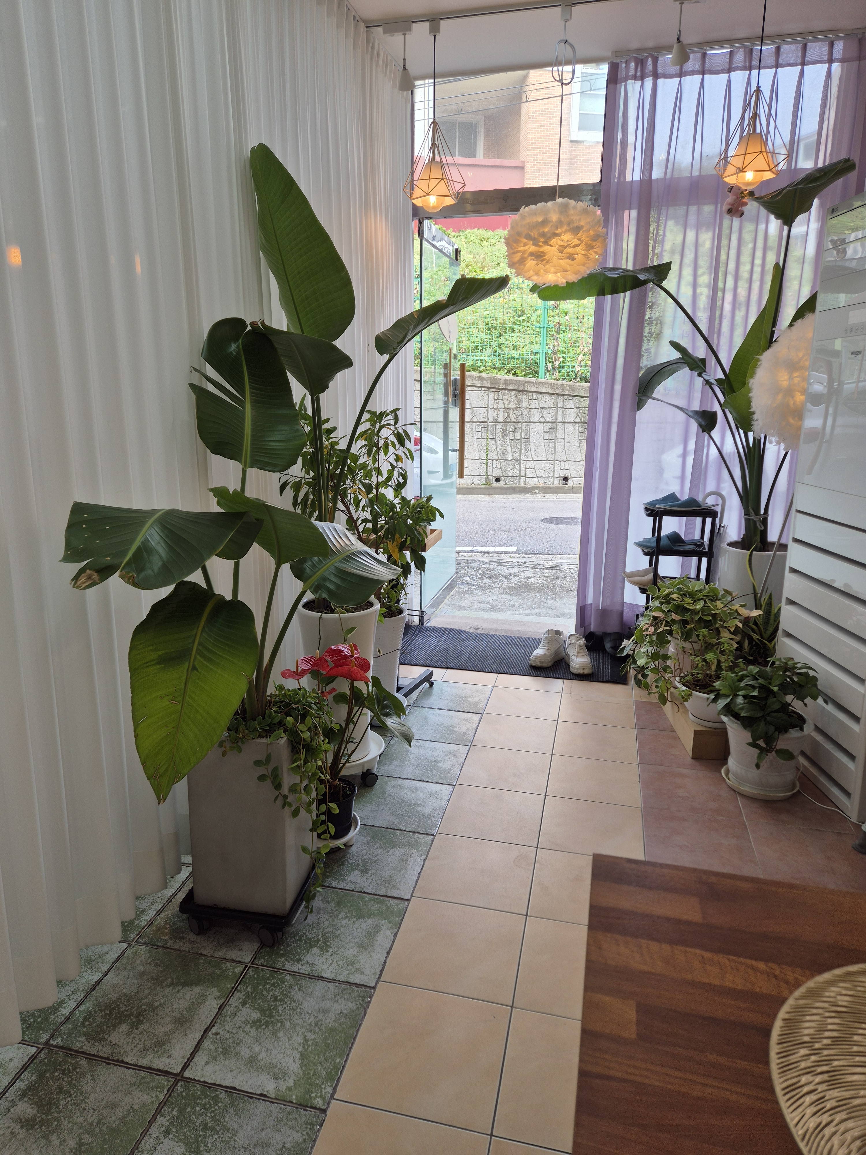 더고운 photo 4