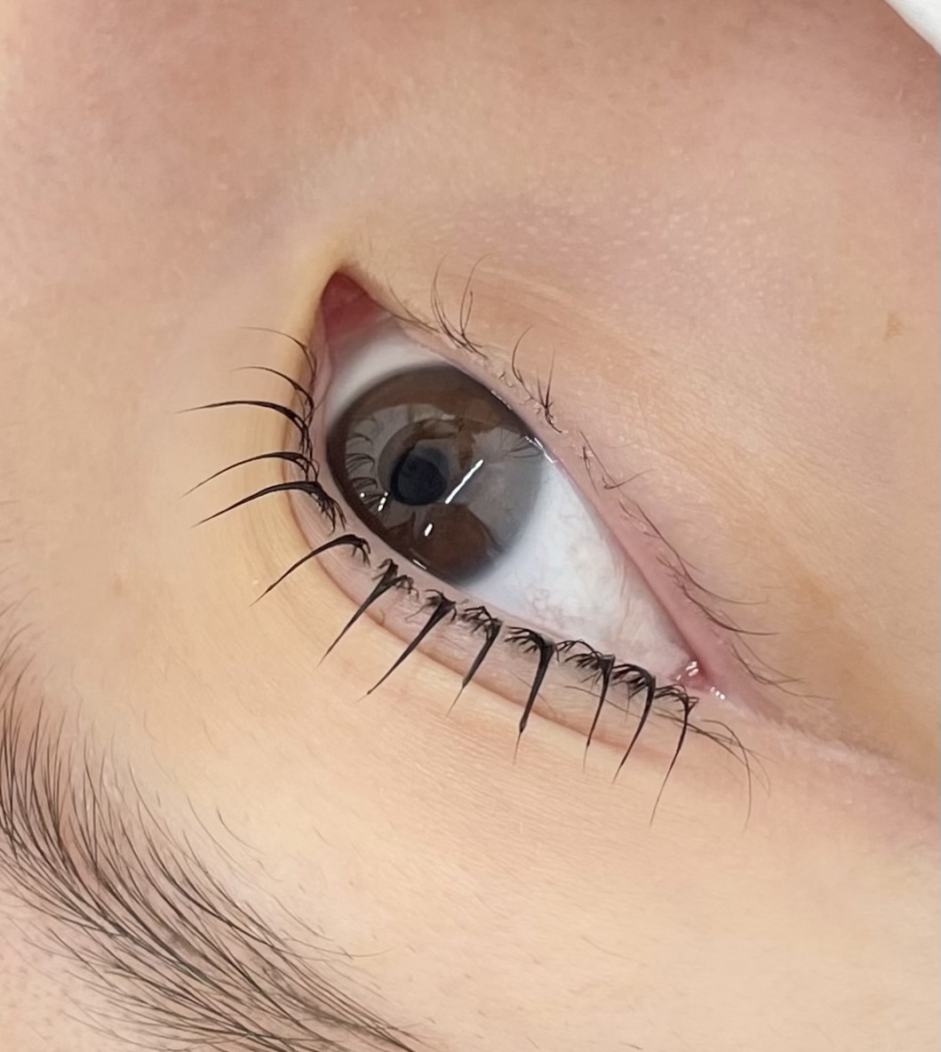 아이딜릭 대표 이미지