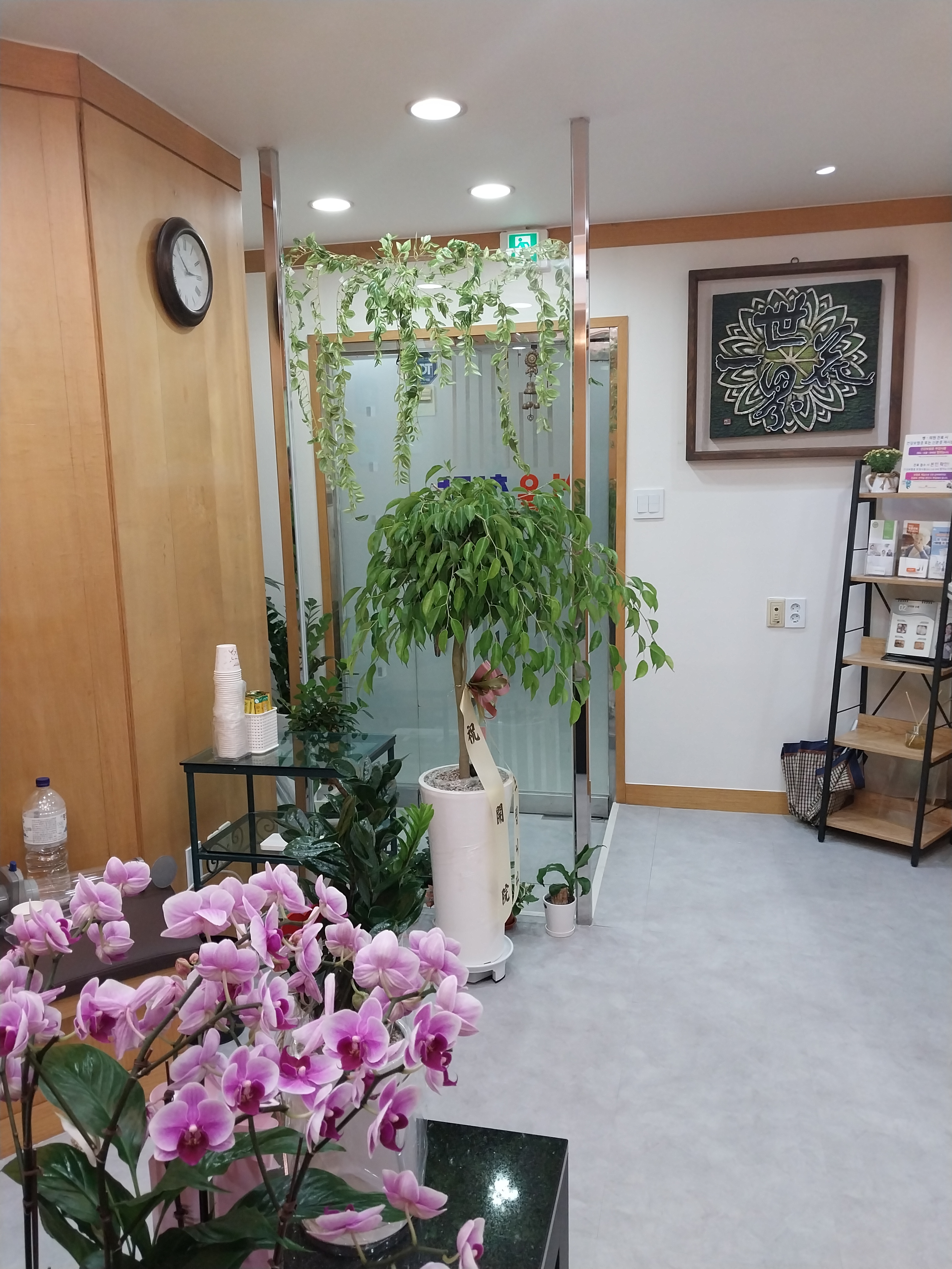 서울치과의원 대표 이미지