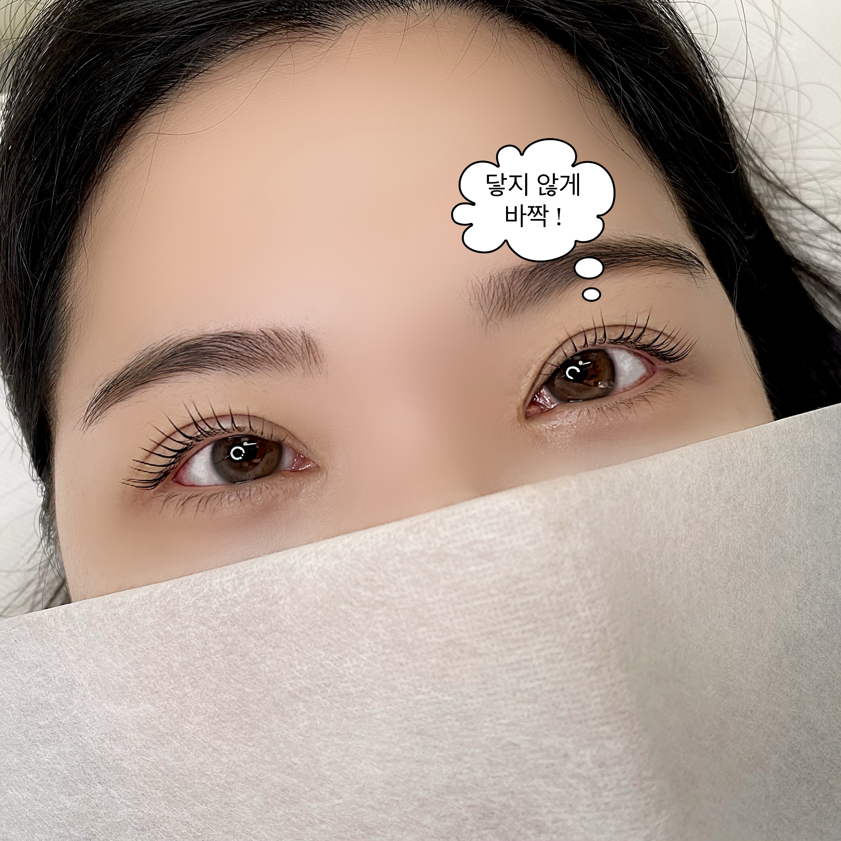 어니미즈