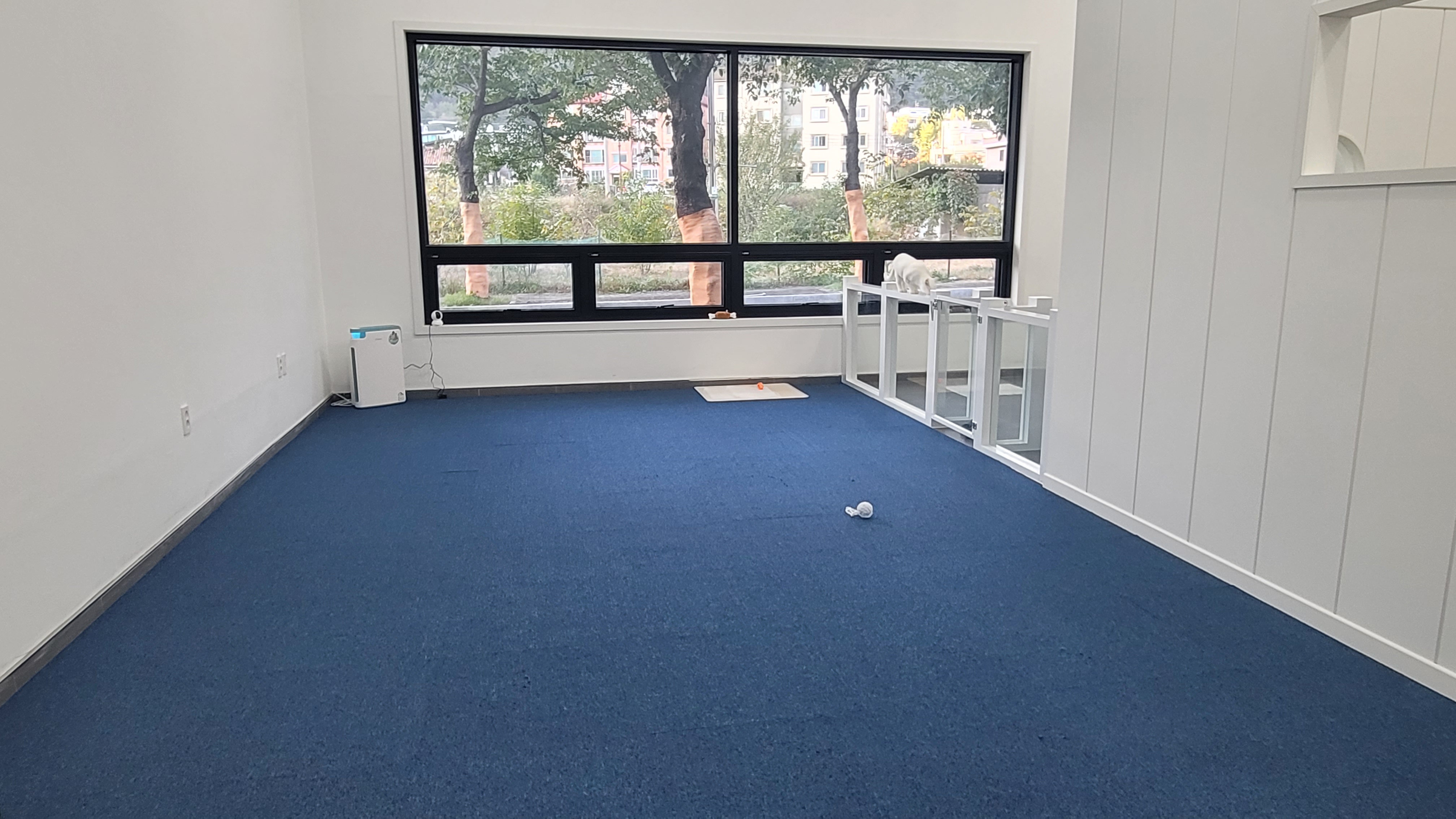 인제오개 대표 이미지