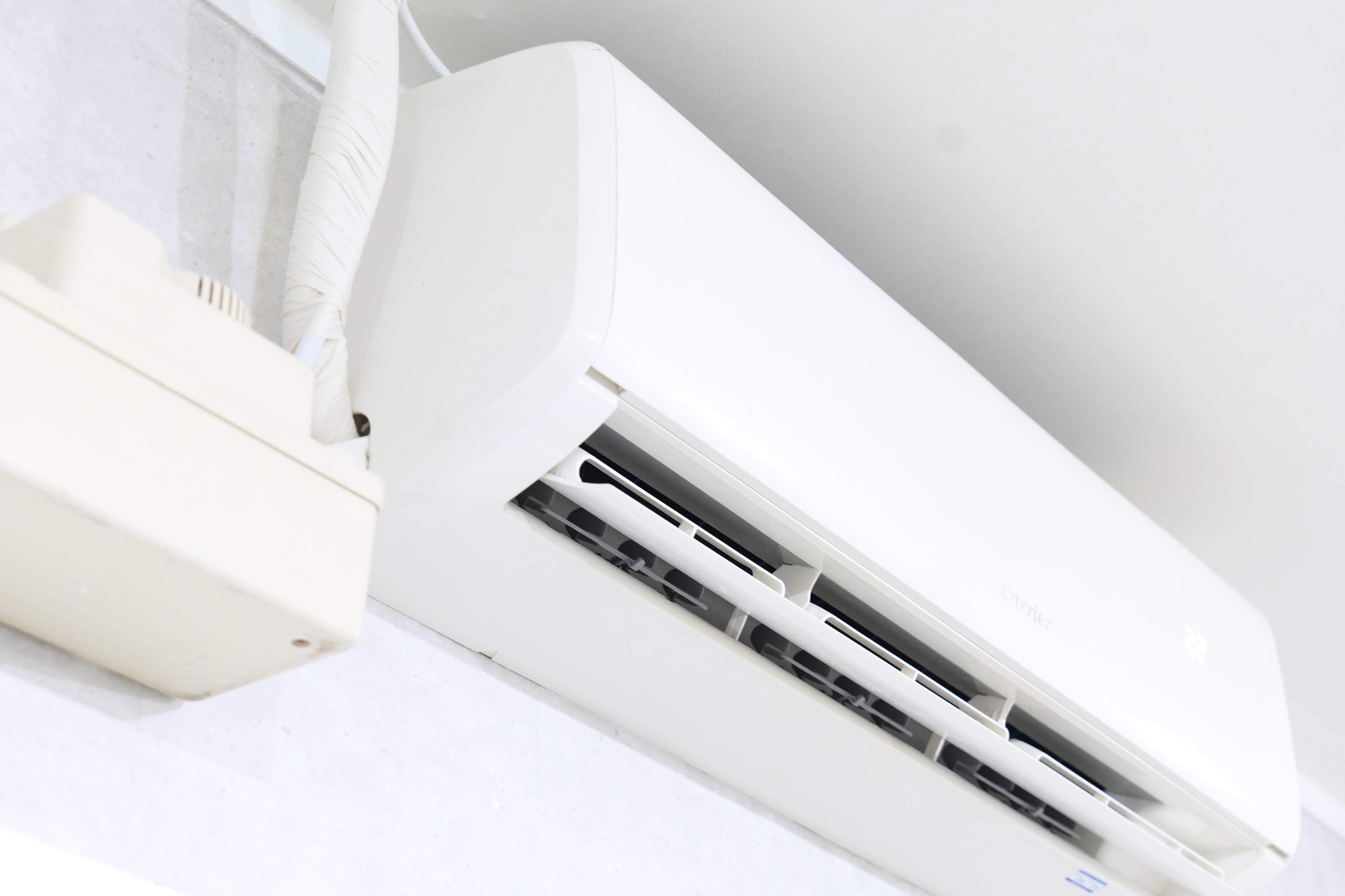 루트비 대표 이미지