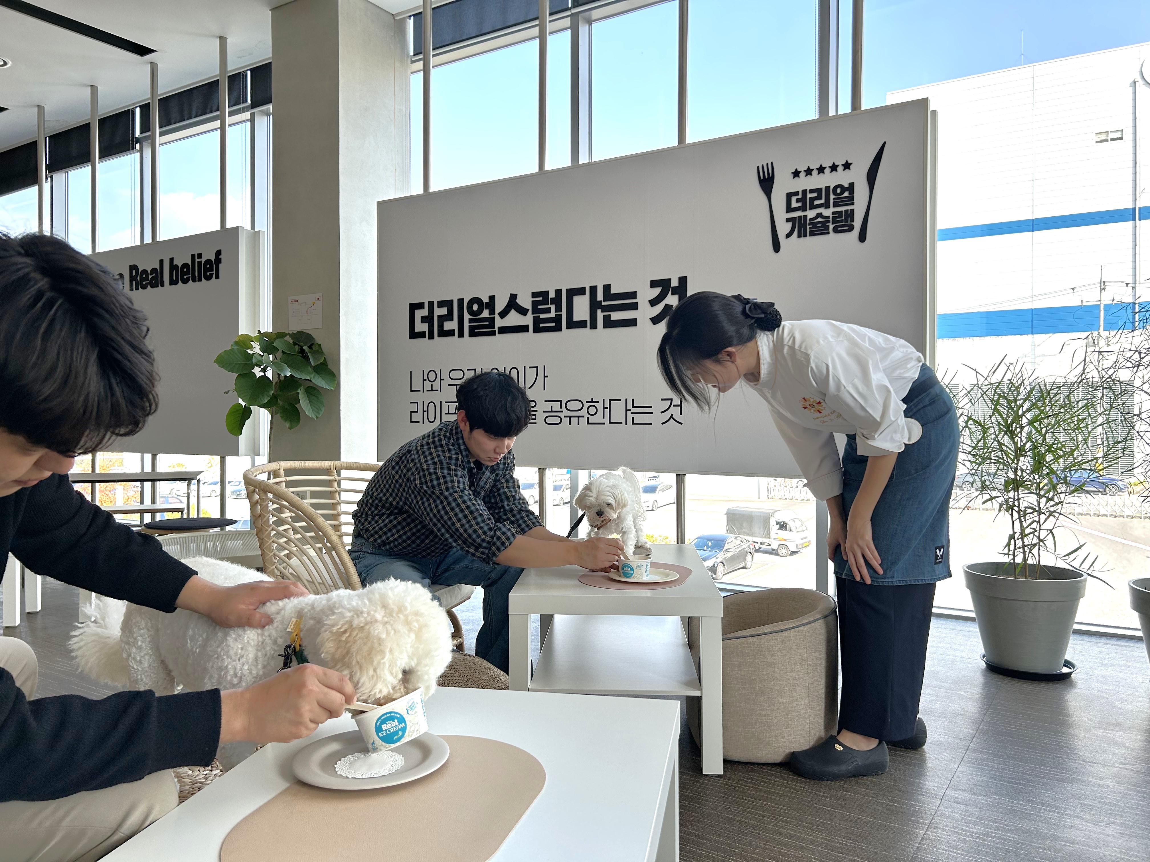 하림펫푸드 충청 애견카페