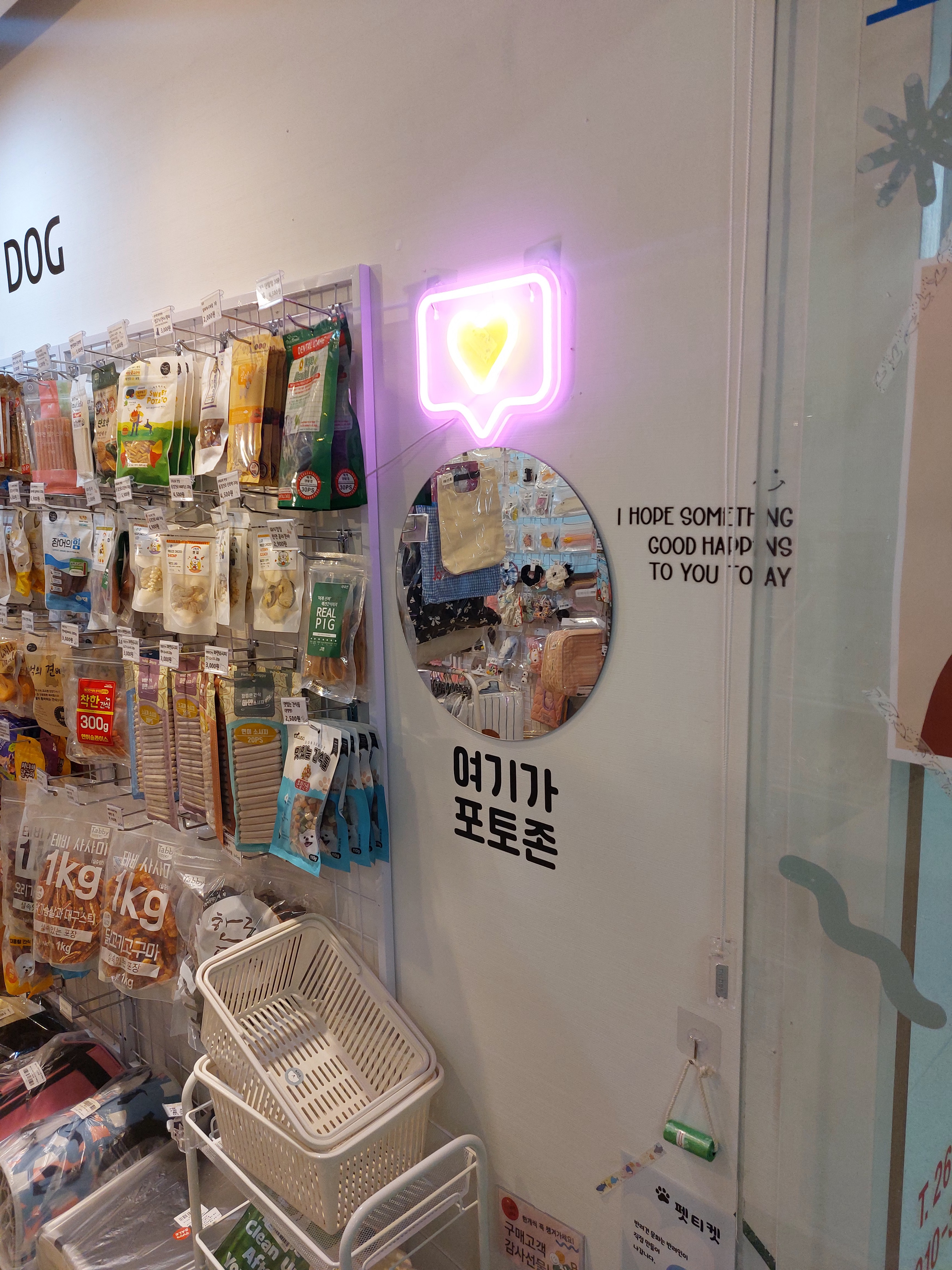 멍냥산책 대표 이미지