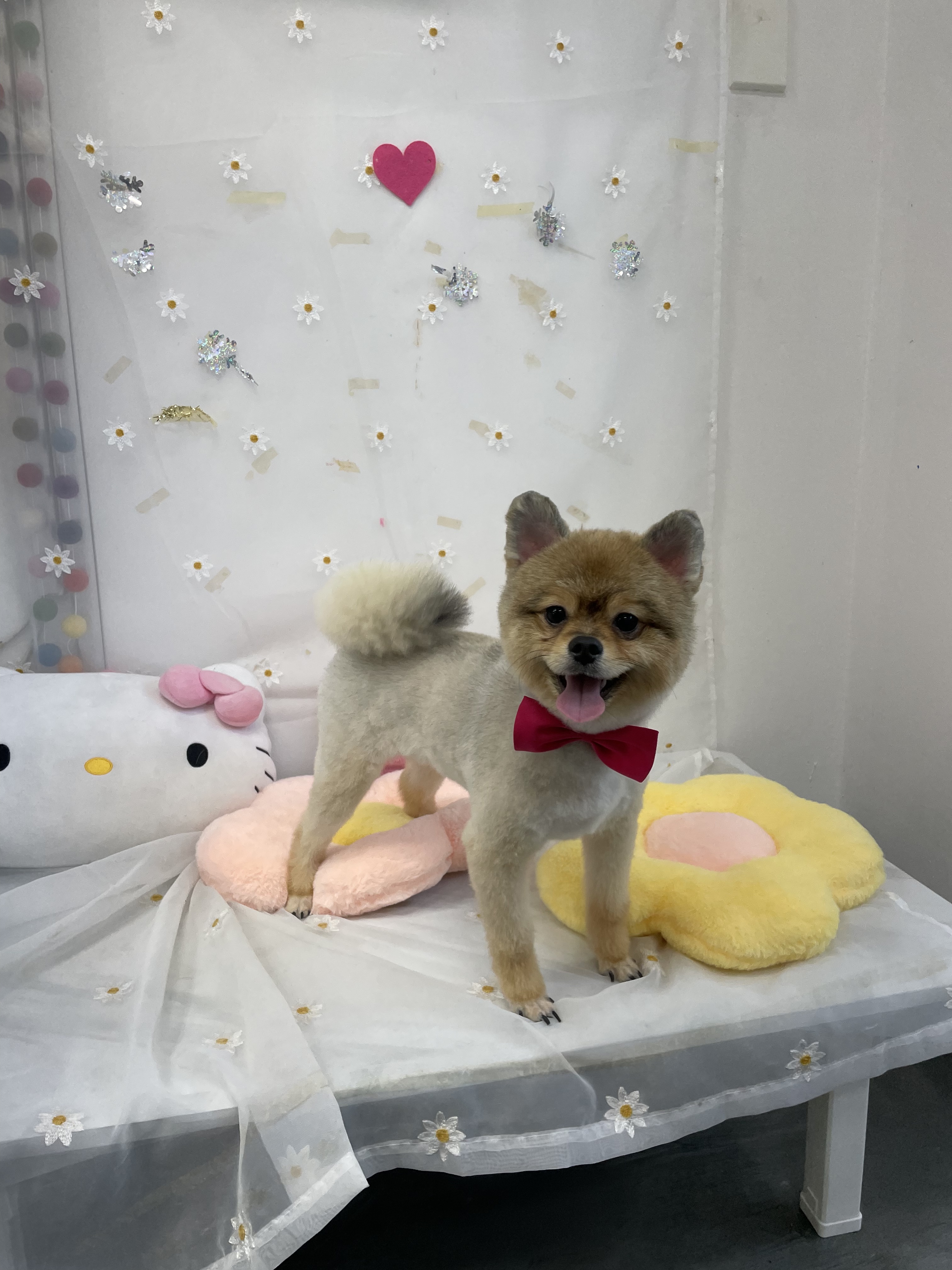 뽀득하개 대표 이미지