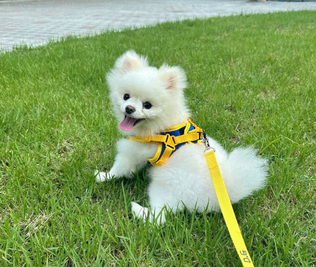 옐레드 대구신월성점 대표 이미지